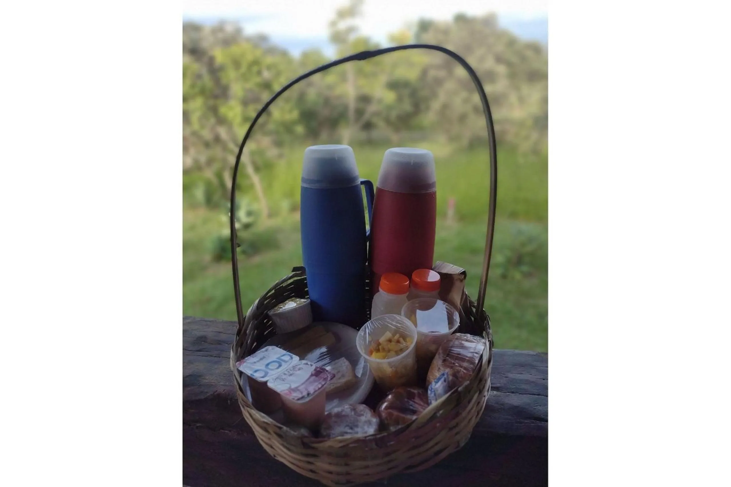 Area and facilities in Pousada Chalé Terra Viva