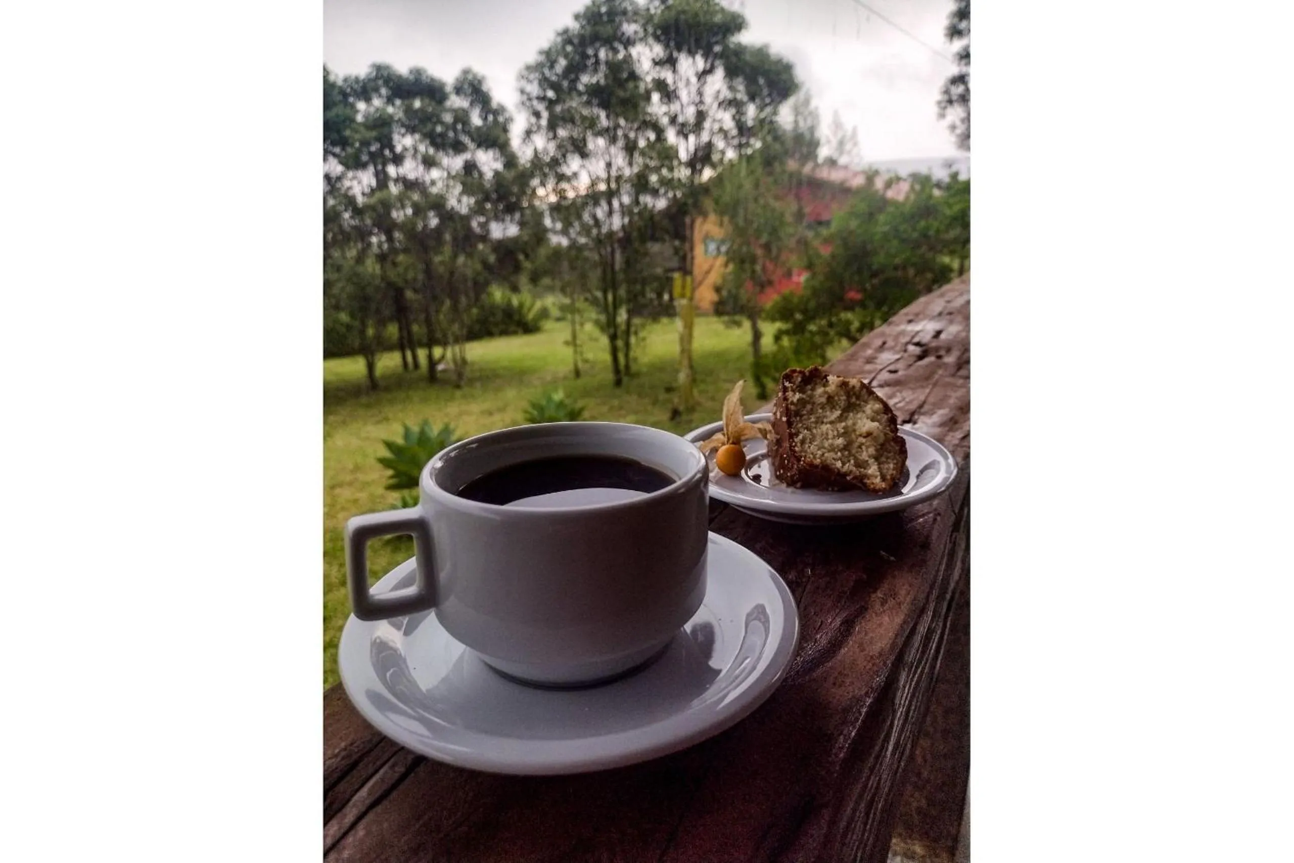 Area and facilities in Pousada Chalé Terra Viva