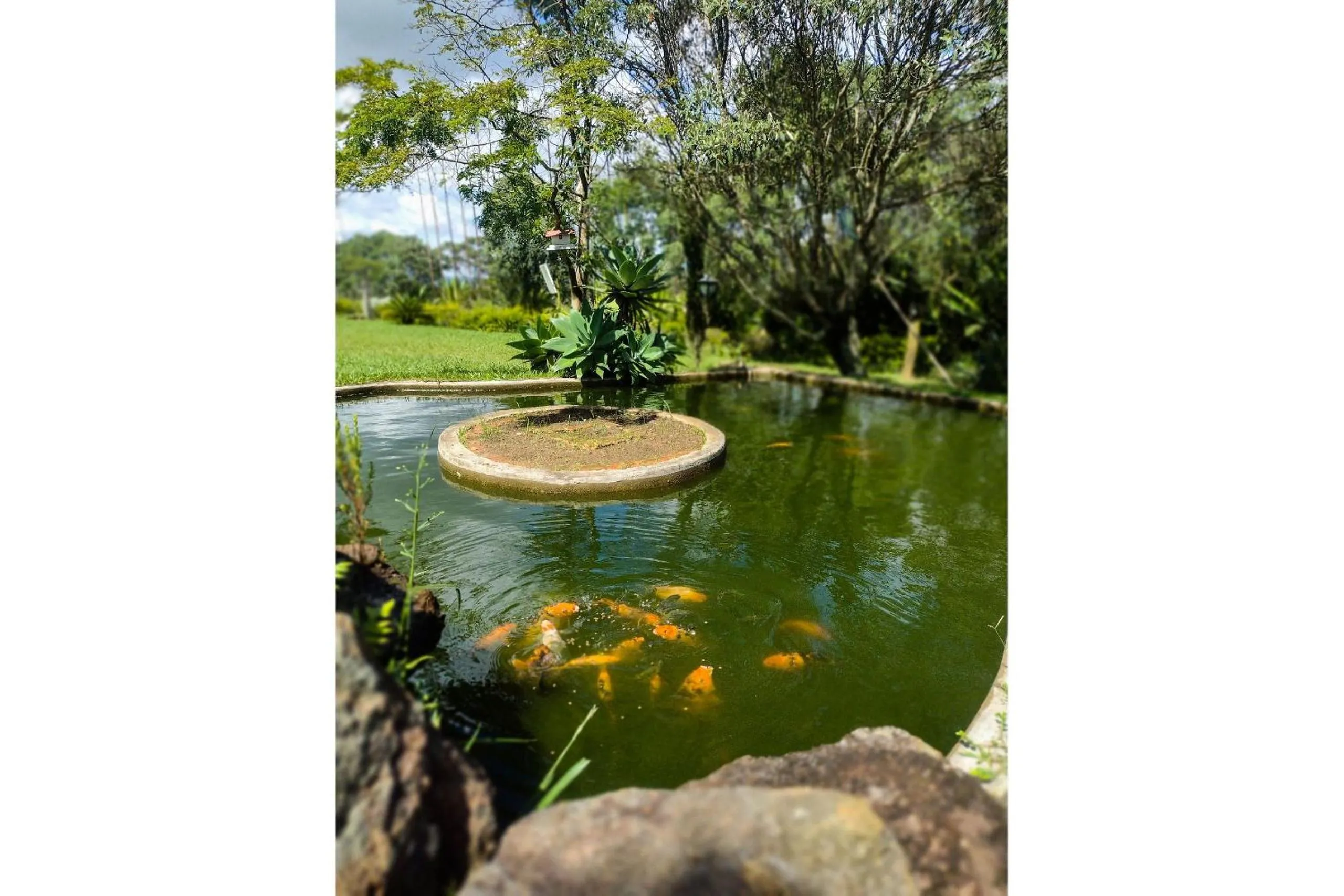 Area and facilities in Pousada Chalé Terra Viva