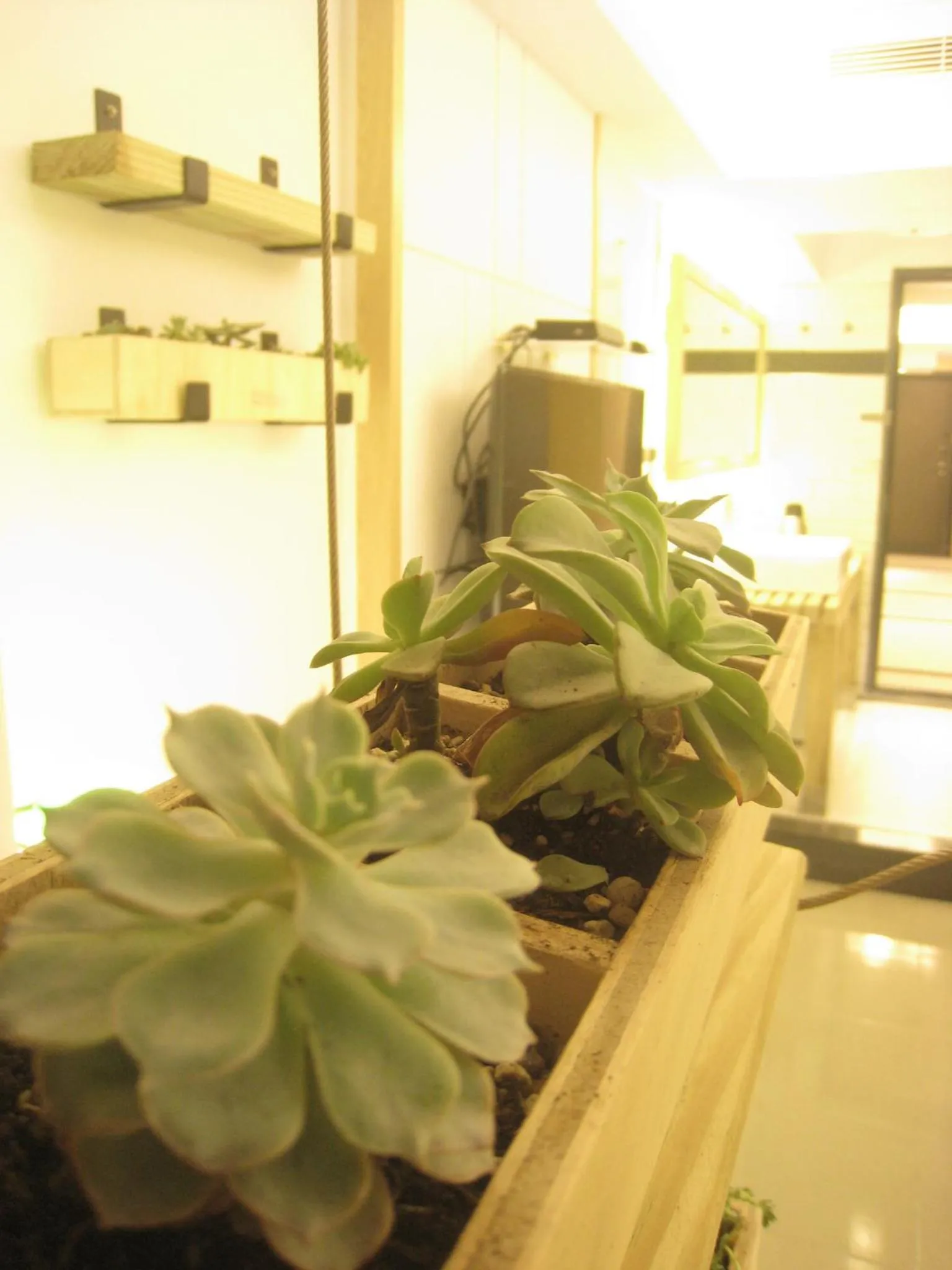 Formosa Boulerard Garden Hotel