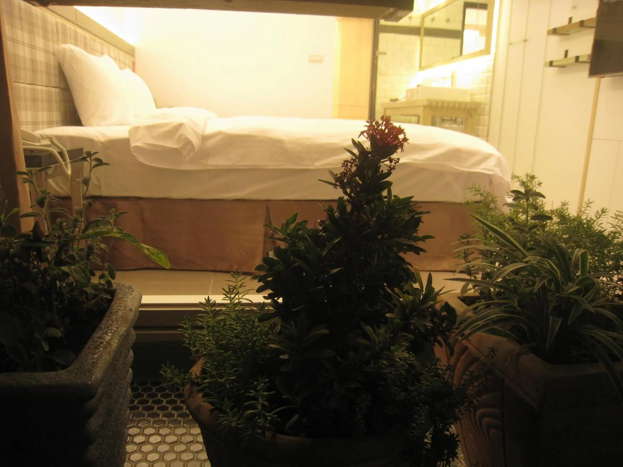 Formosa Boulerard Garden Hotel