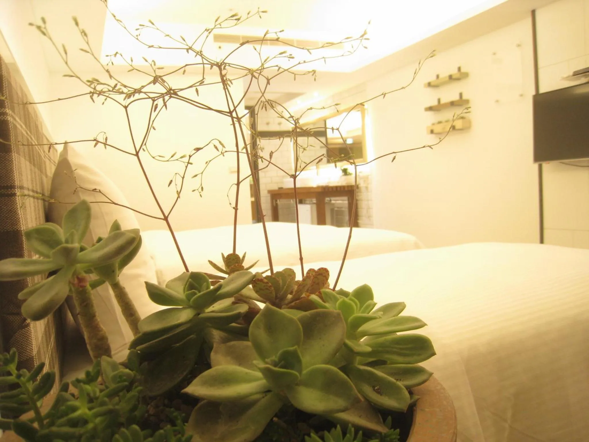 Formosa Boulerard Garden Hotel