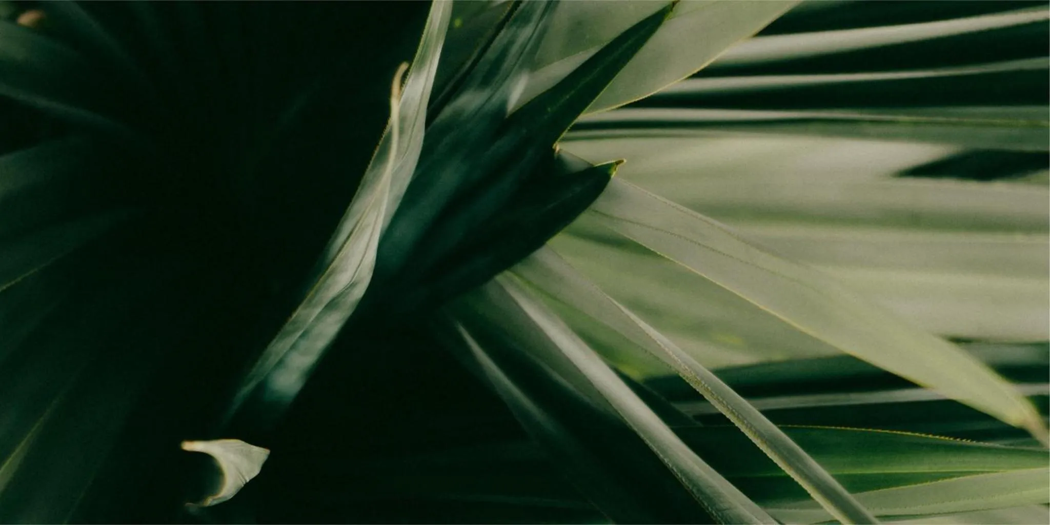 Property building in Ritsurin Boutique Hotel - โรงแรมริทสุริน บูติค