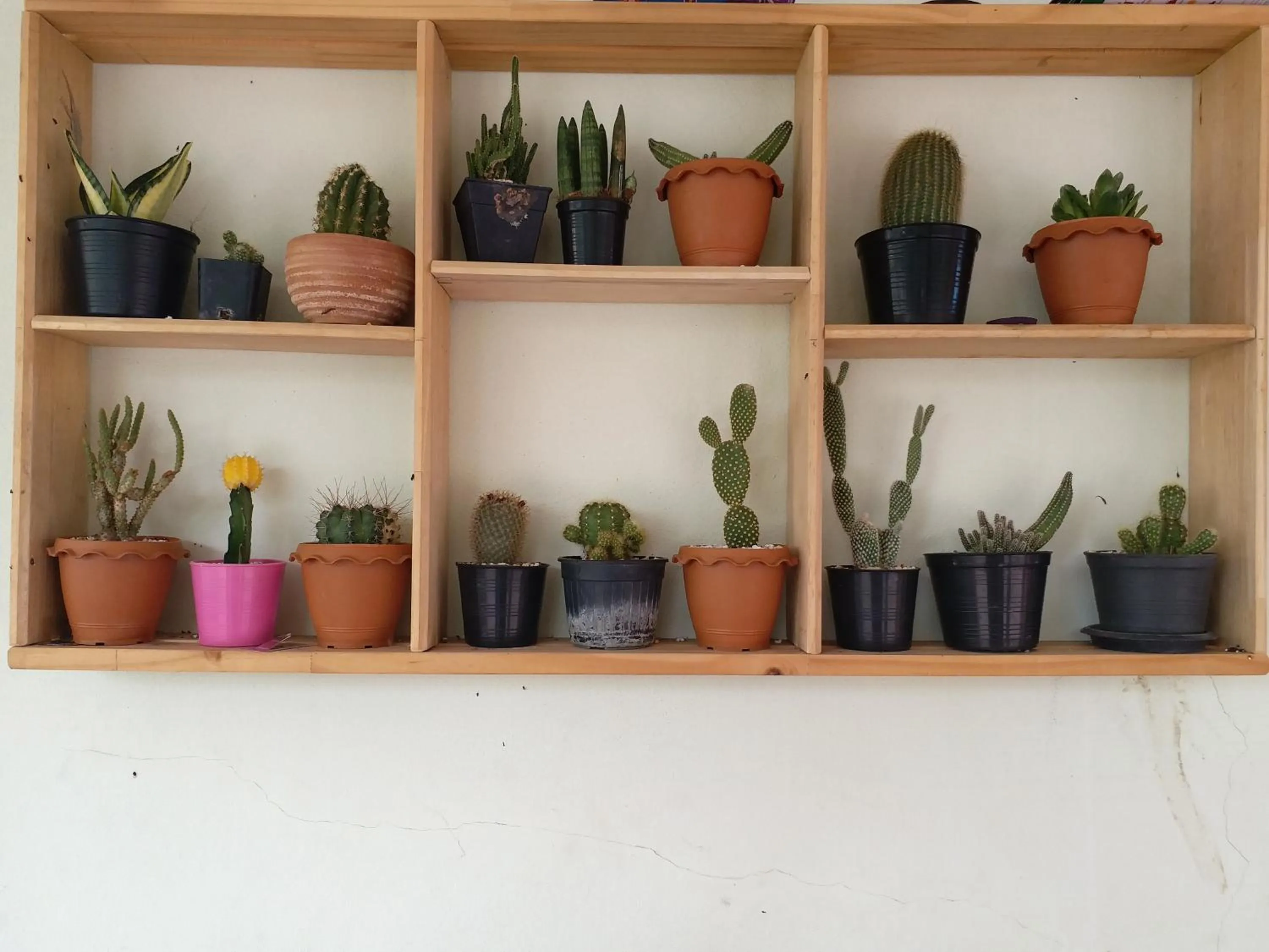 Other in TongPrasit Place