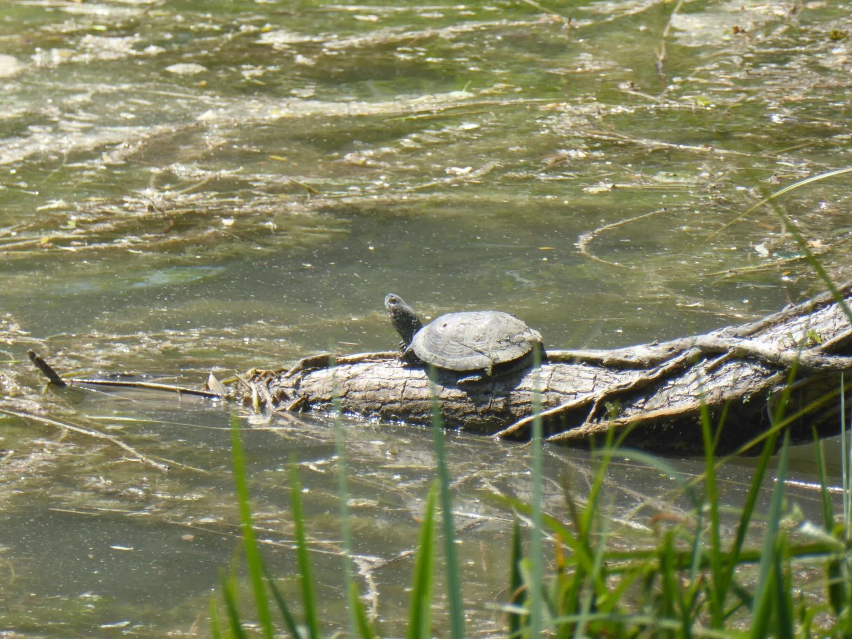 Lake view in Logis Hotels Domaine du Châtelard