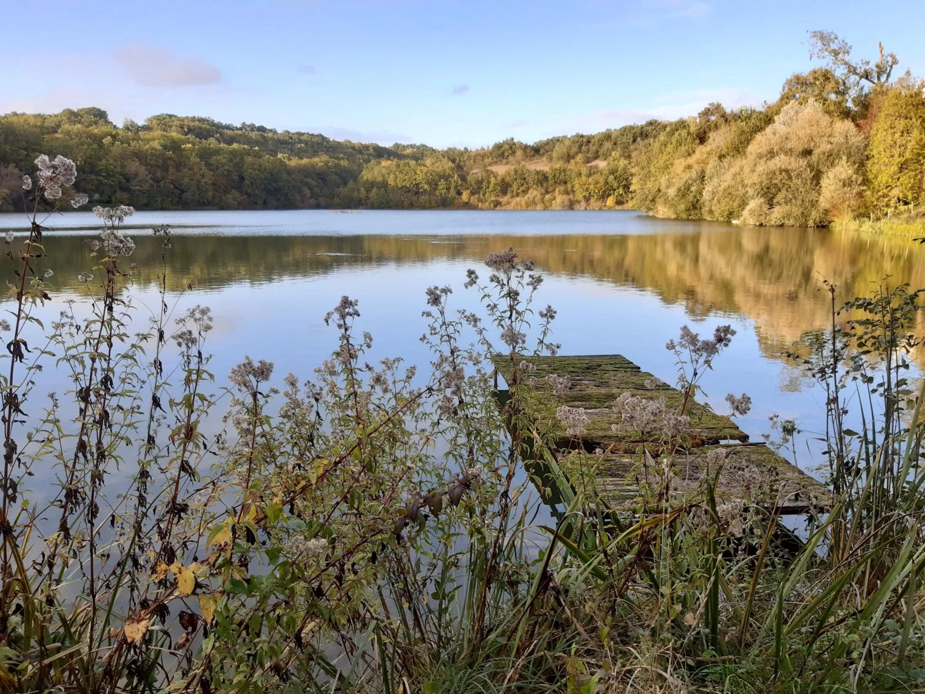Garden view in Logis Hotels Domaine du Châtelard