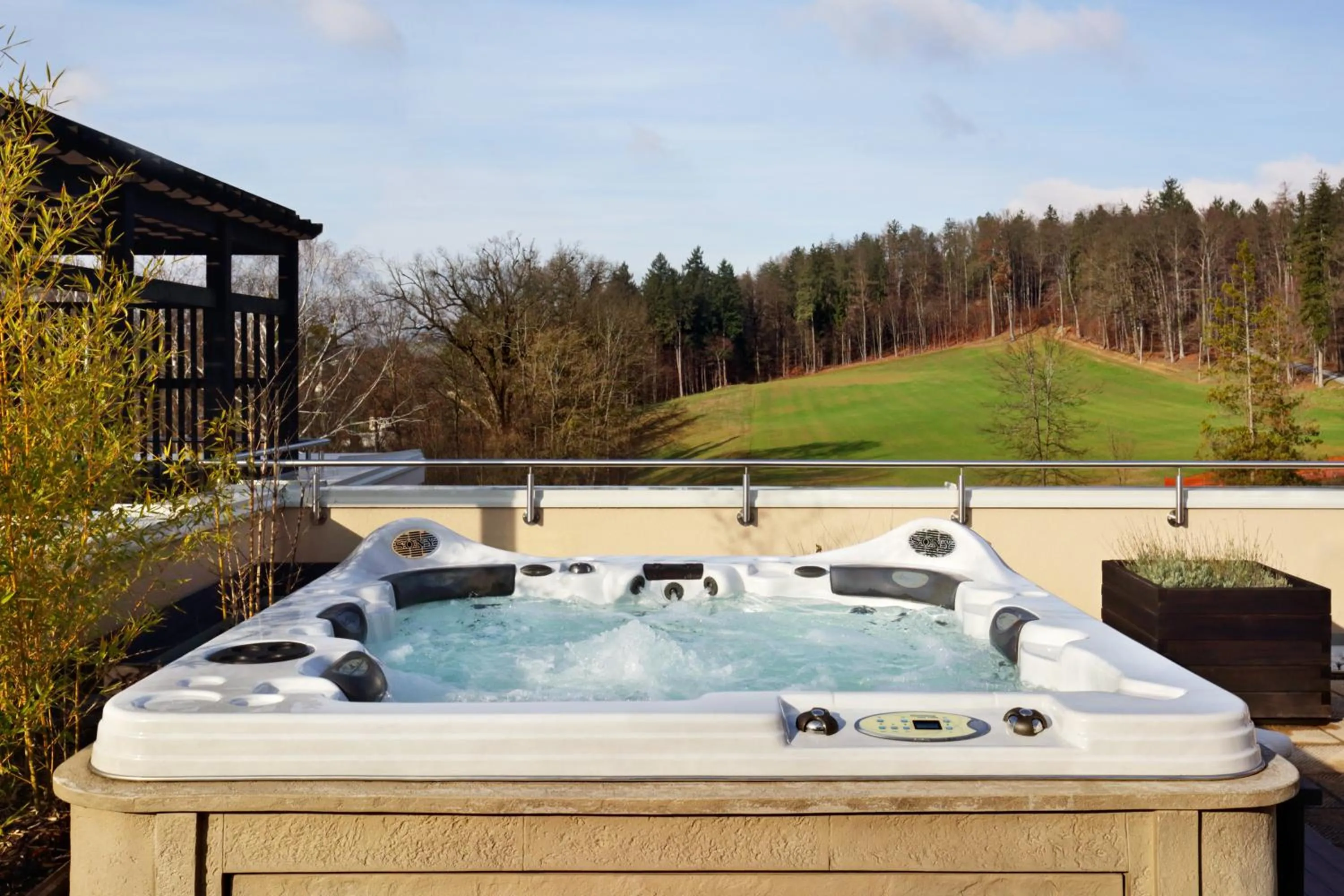 Area and facilities in Hotel Aleksander Medical & SPA