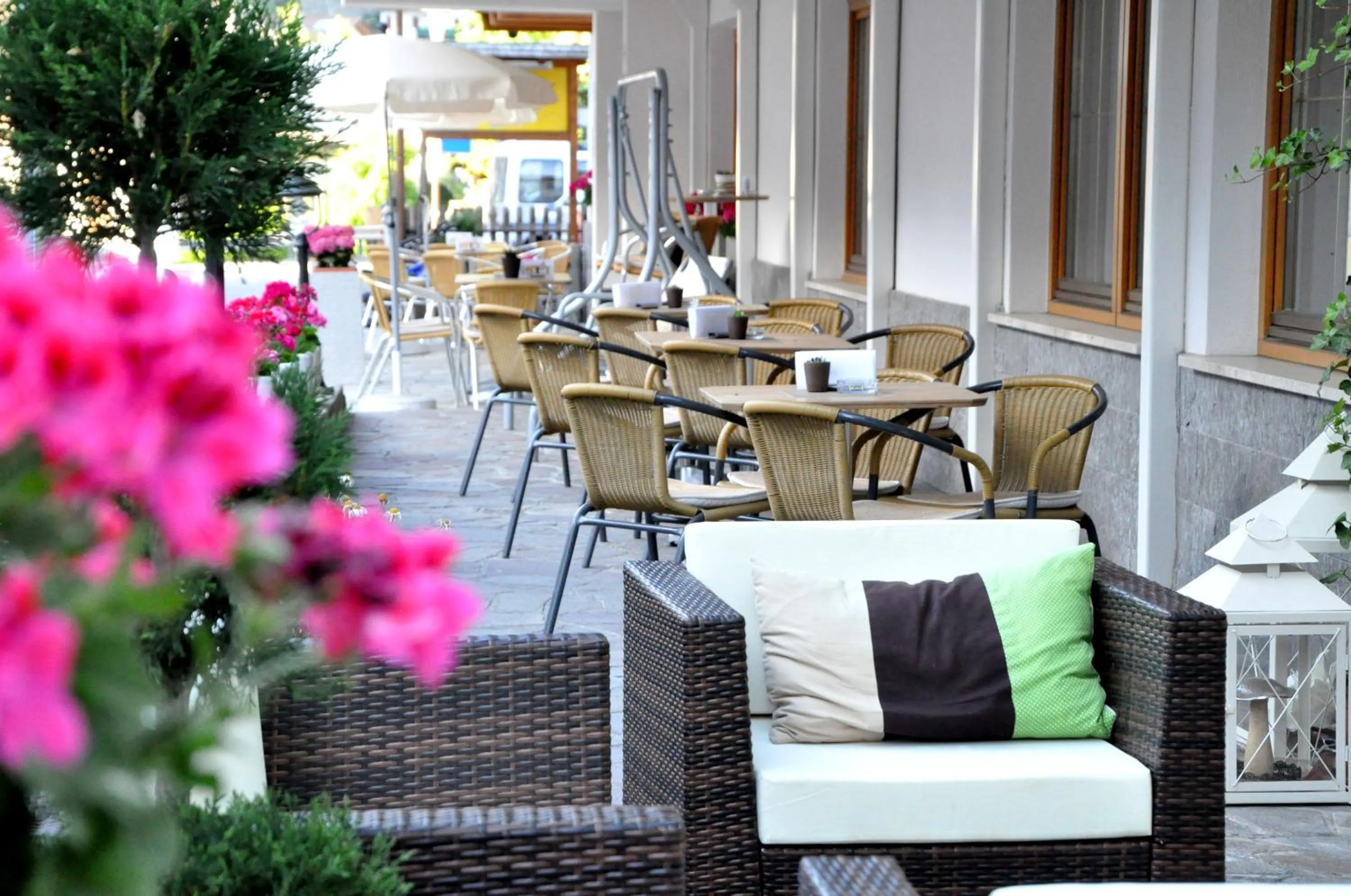 Balcony/Terrace in Hotel Traube - Stelvio