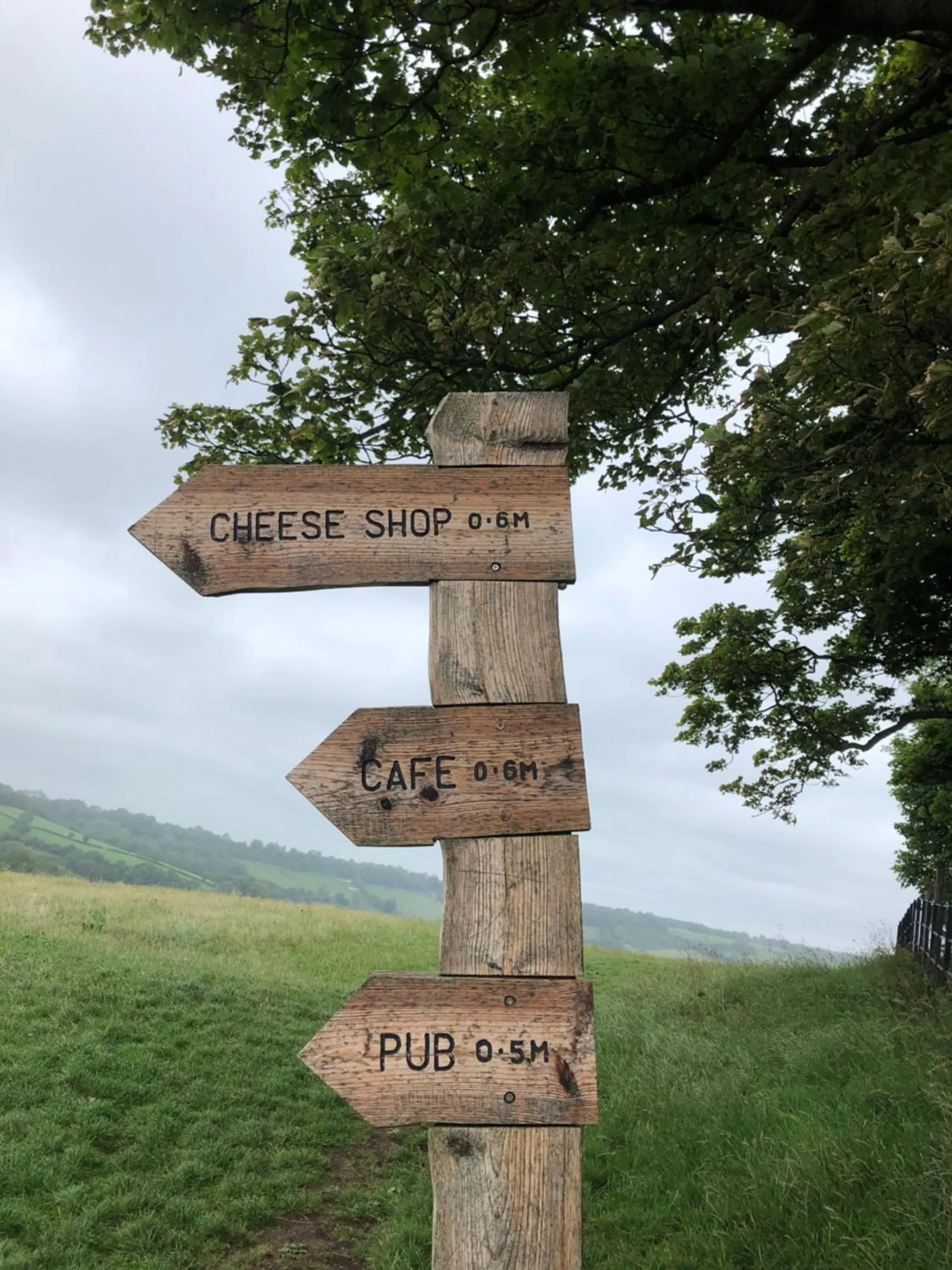 Natural landscape in Devonshire House