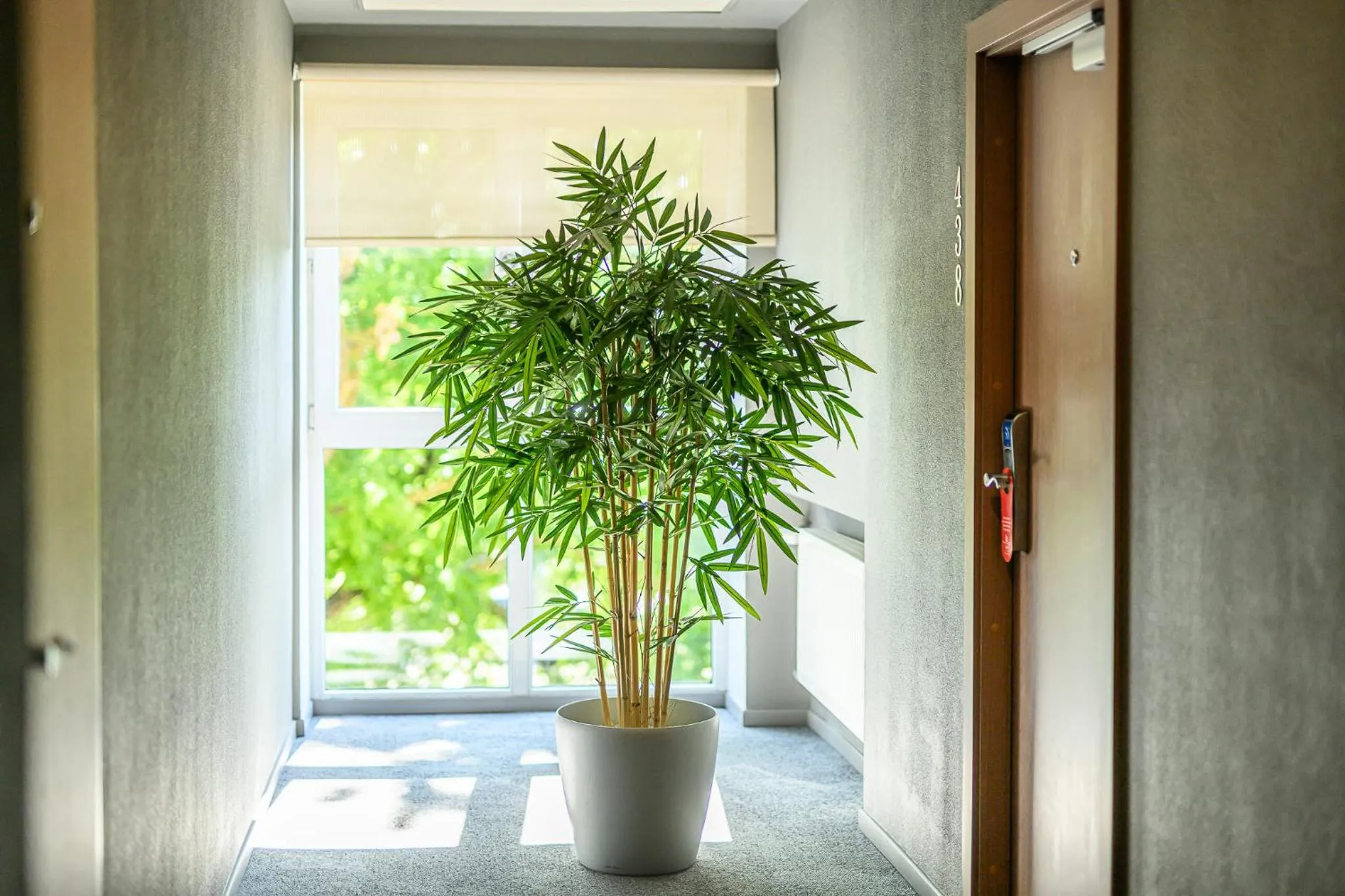 Property building in Liva Hotel