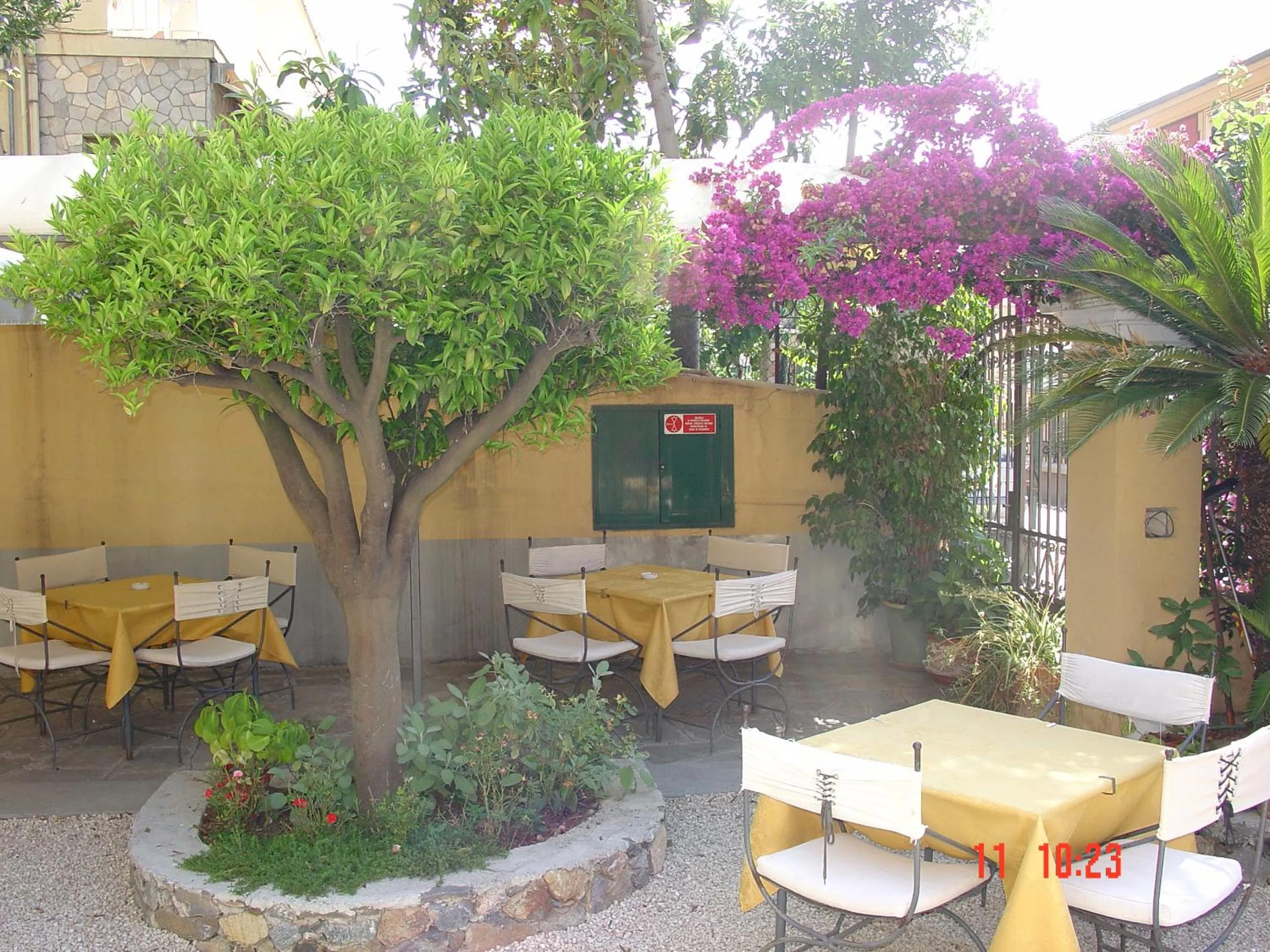 Garden in Hotel Miranda