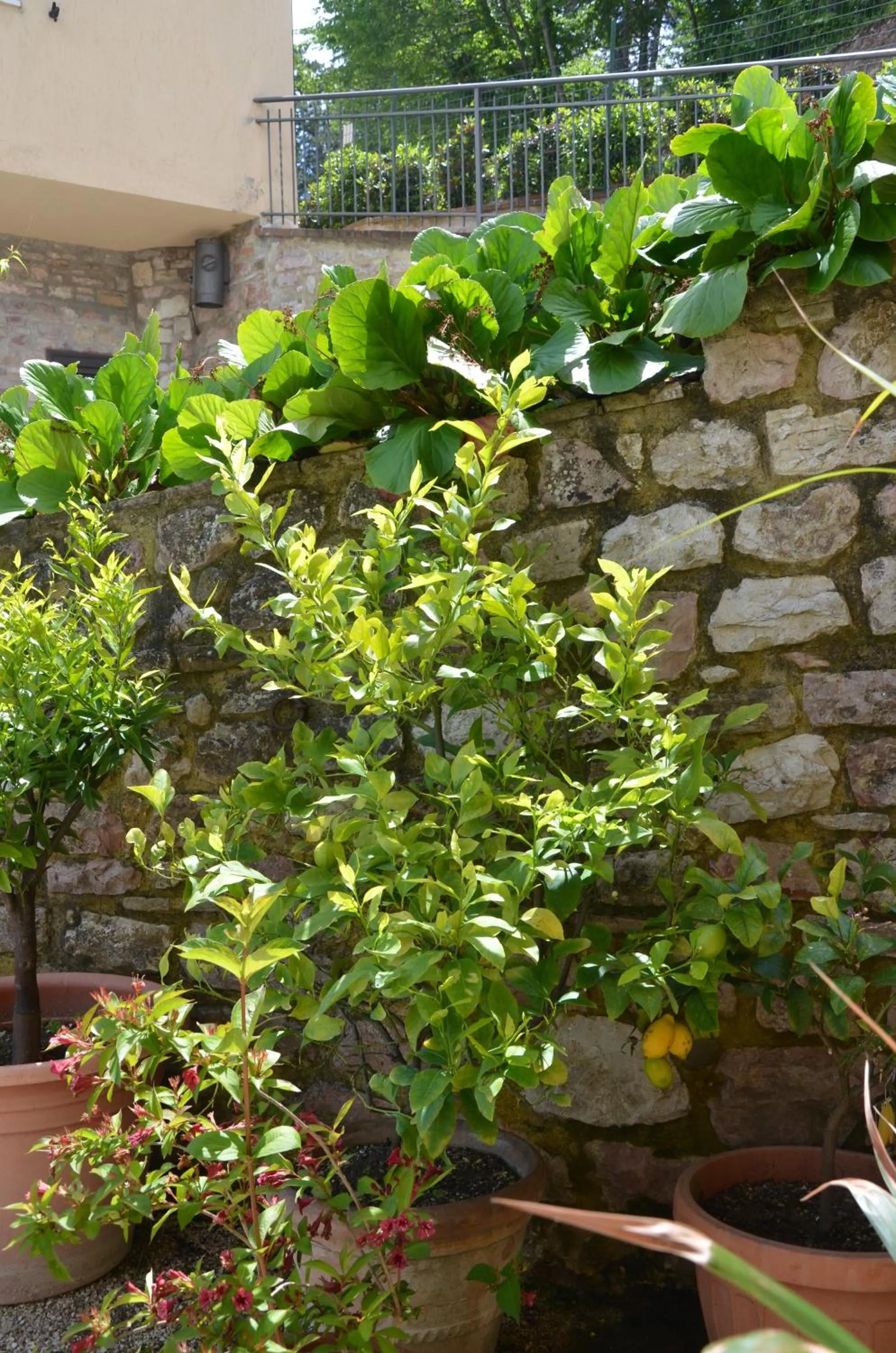 Decorative detail in B&B La Terrazza Del Subasio