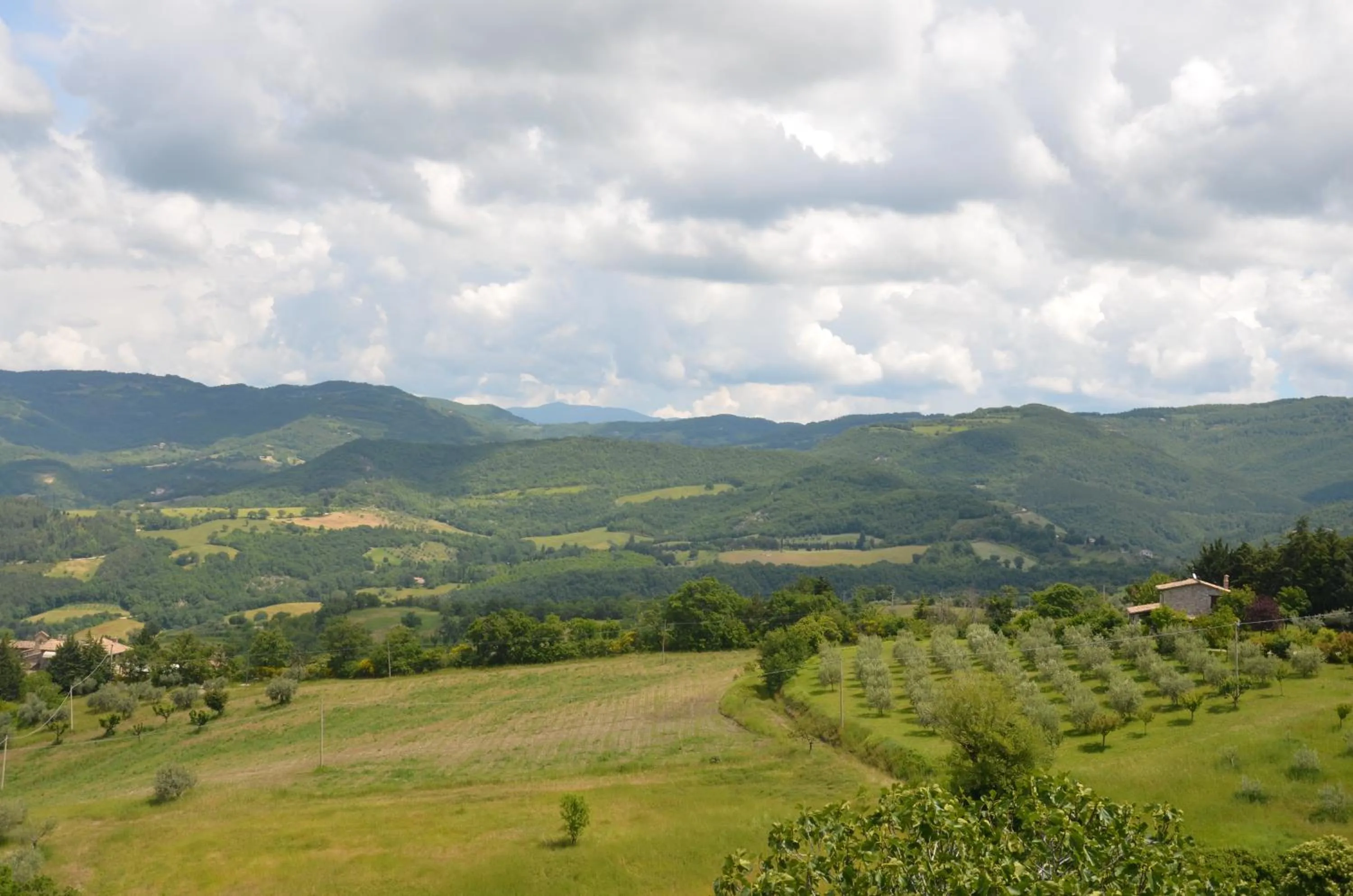 On site in B&B La Terrazza Del Subasio
