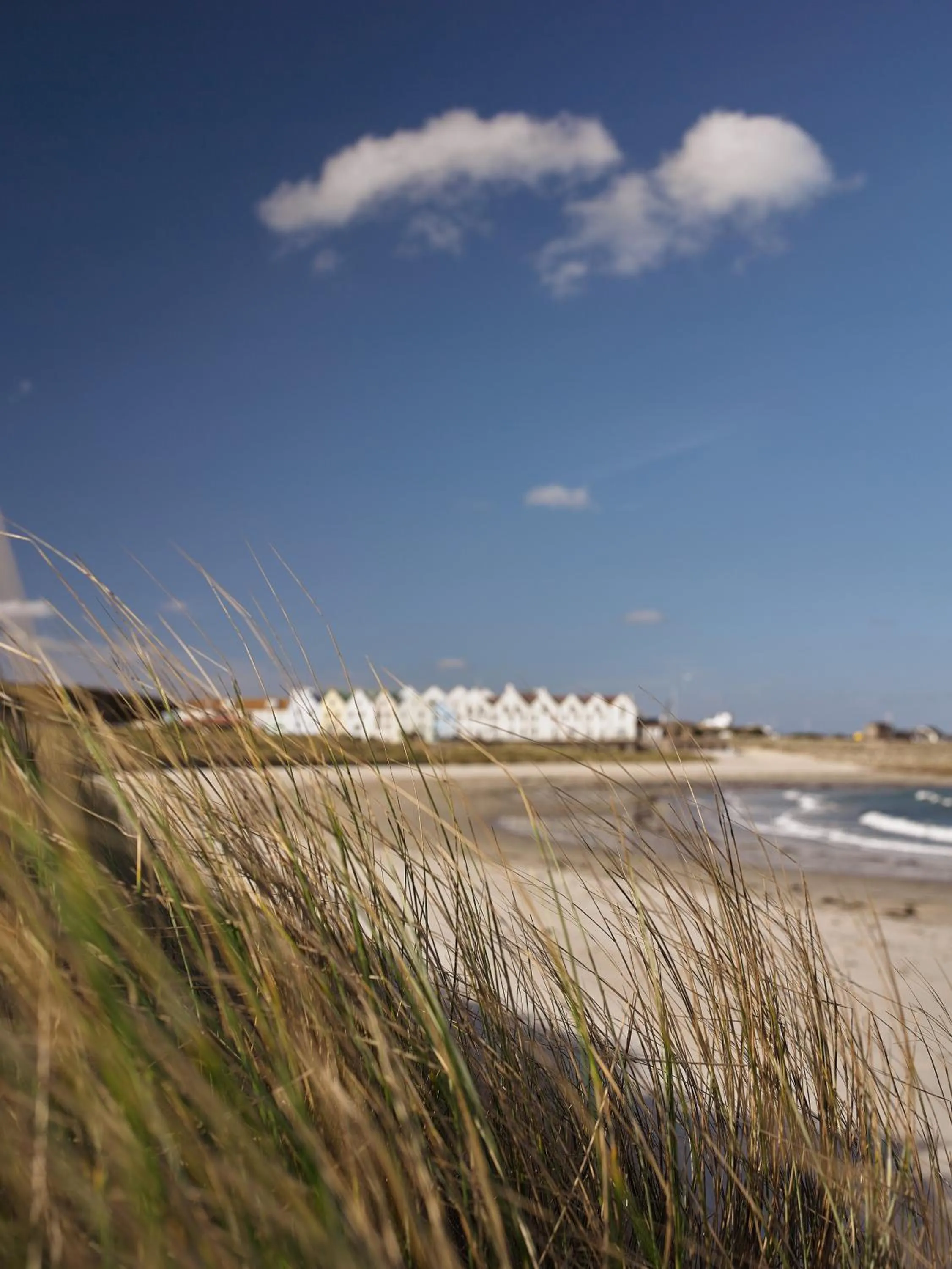 Beach in Braye Beach Hotel, Alderney