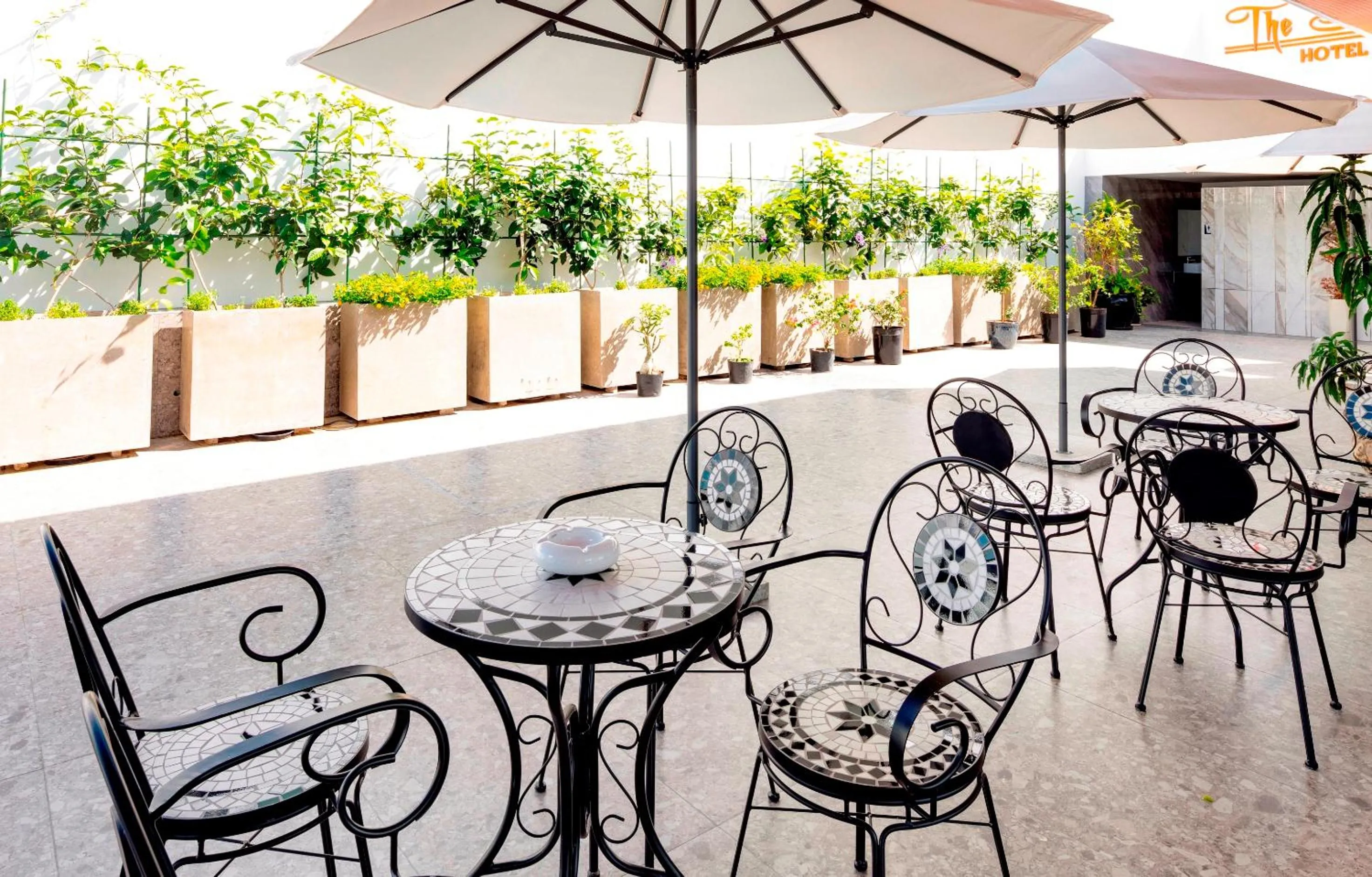 Garden in The Summer Hotel