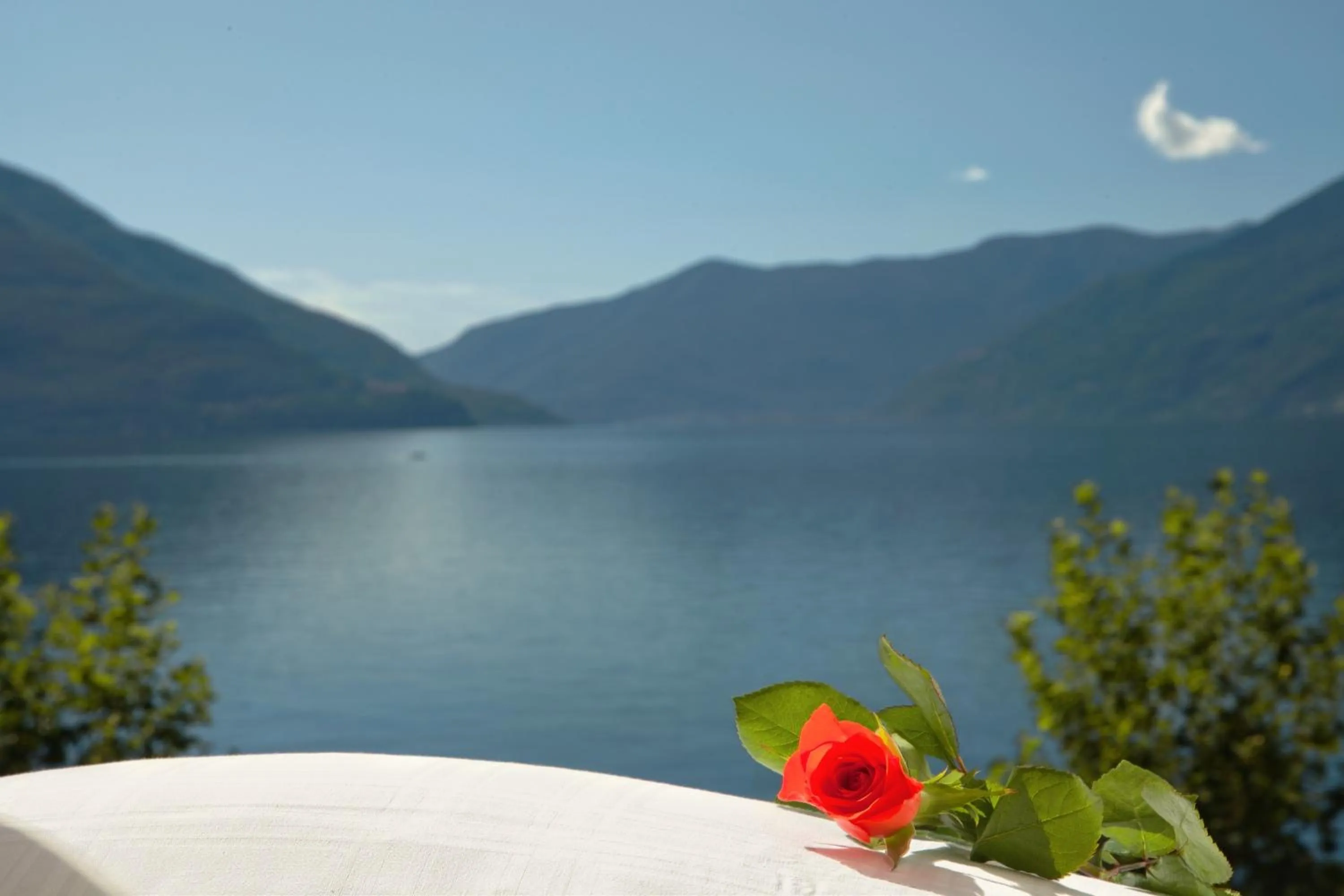 Decorative detail in Hotel Tamaro