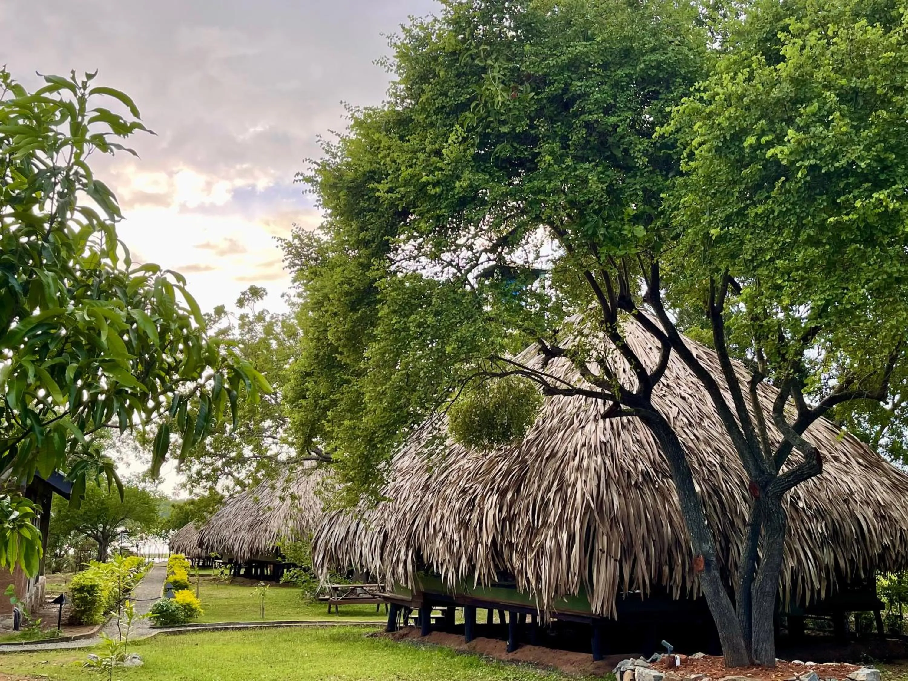 Natural landscape in Yala Lake View Cabanas