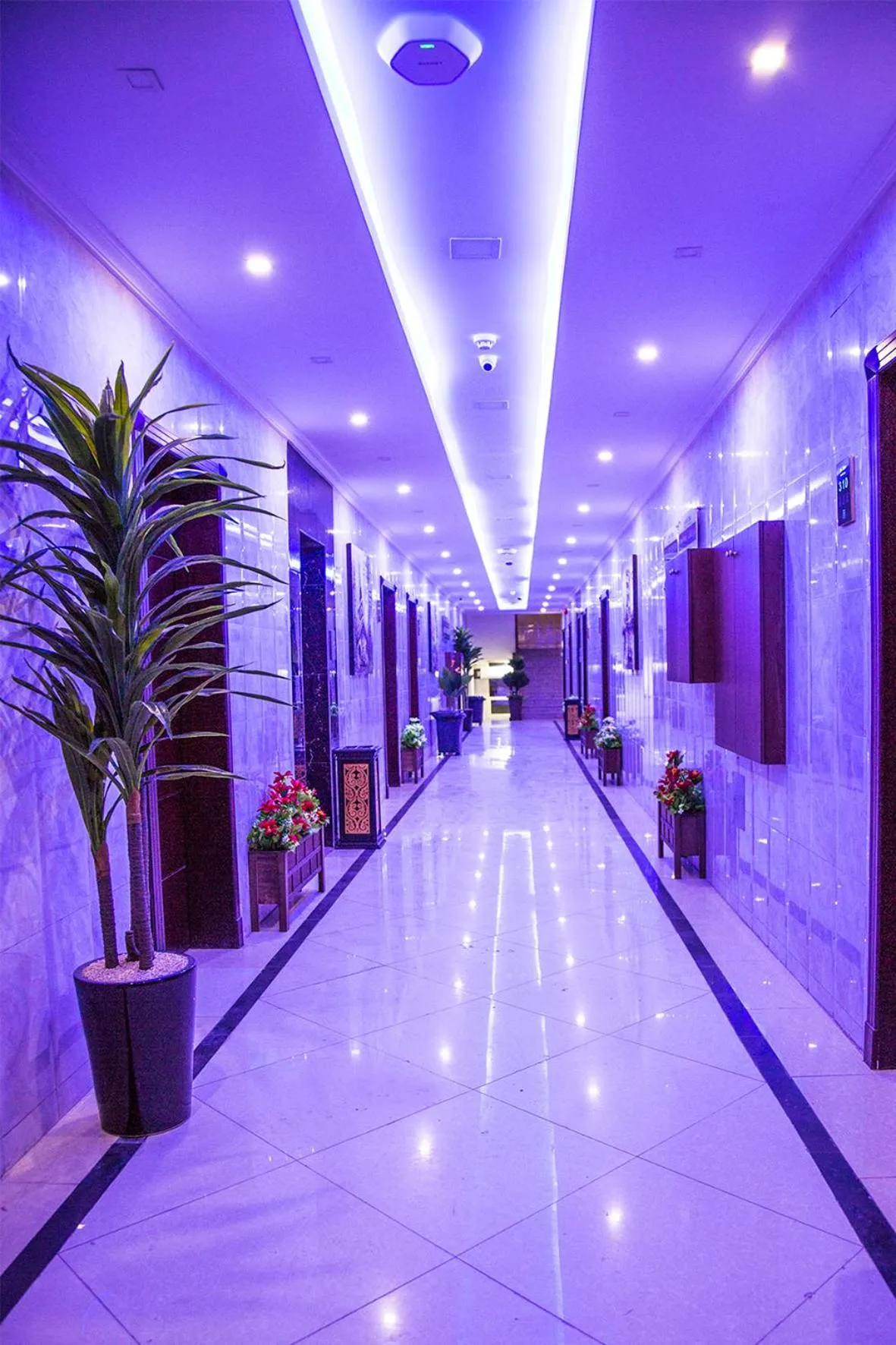 Decorative detail in شقق سوات للشقق المخدومة