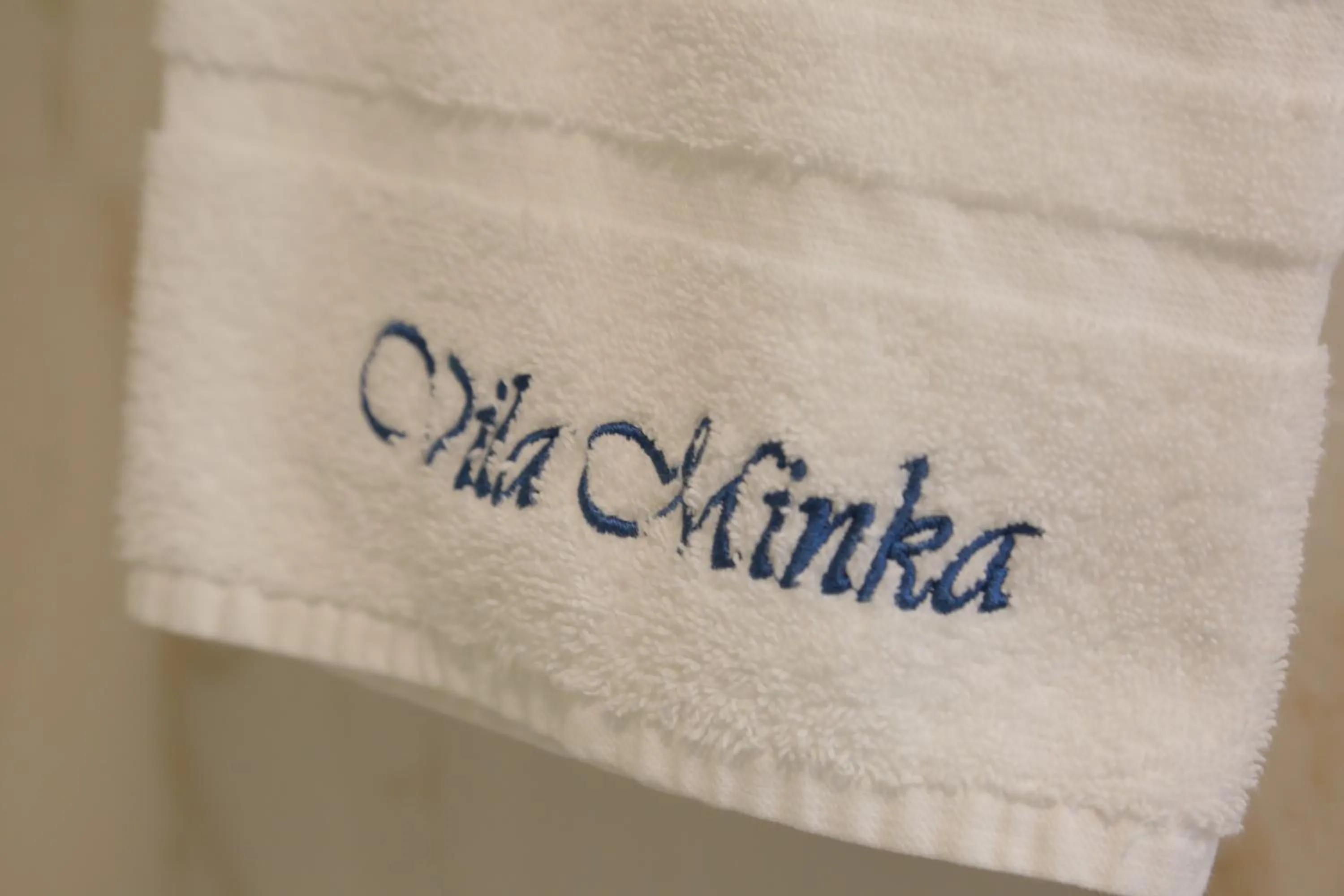 Decorative detail in ApartHotel Vila Minka