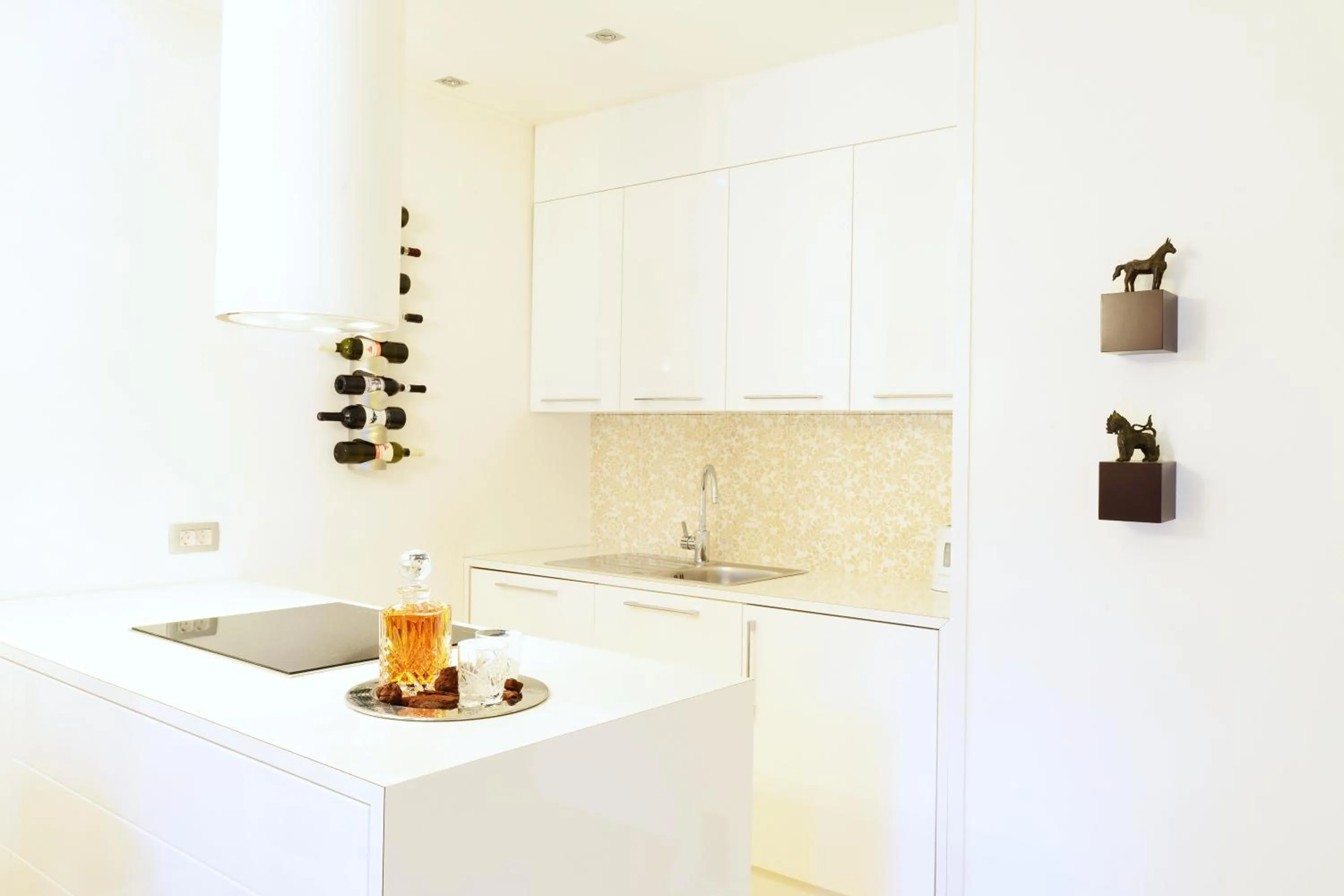 Kitchen or kitchenette in ApartHotel Vila Minka