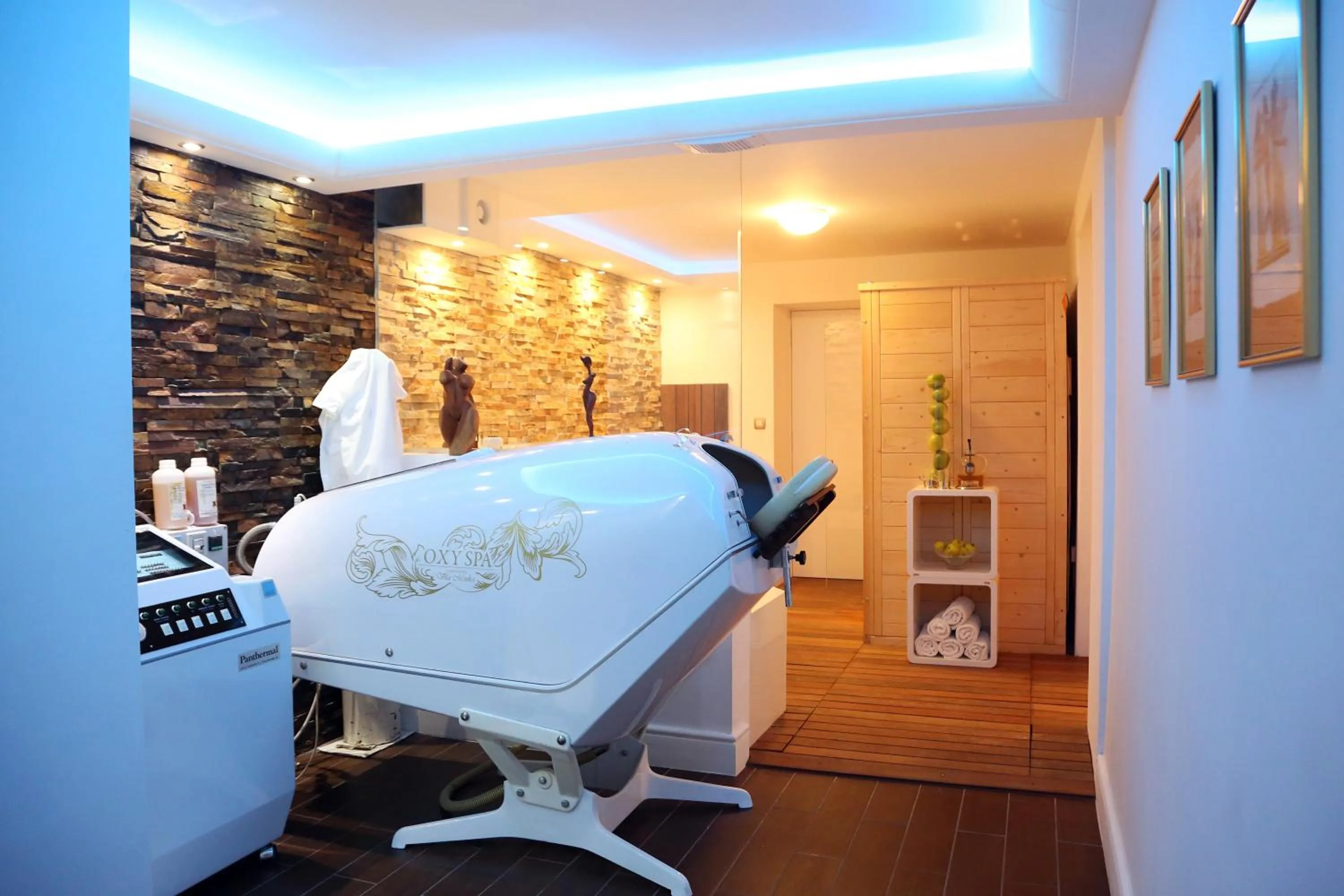 Spa and wellness centre/facilities in ApartHotel Vila Minka