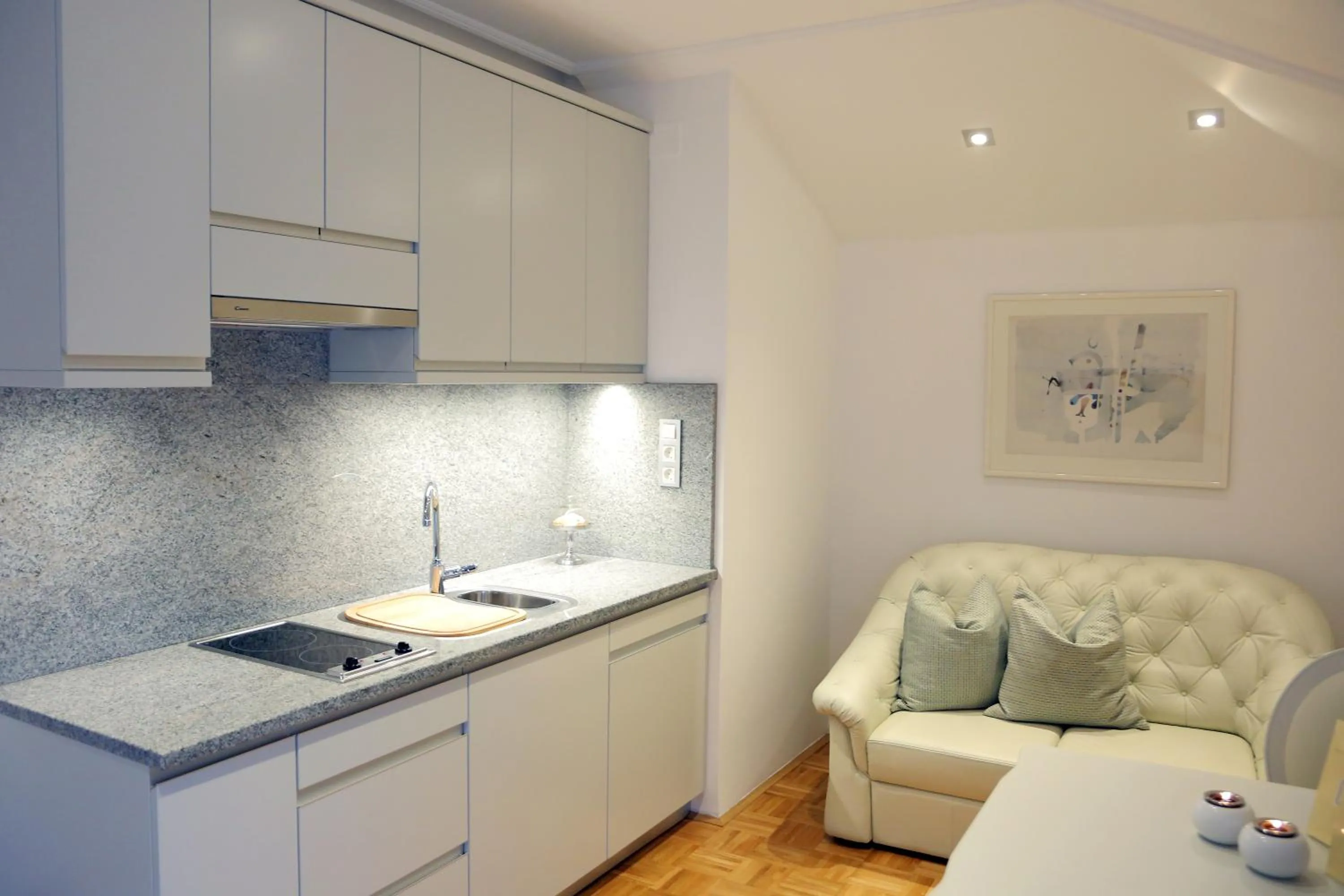 Kitchen or kitchenette in ApartHotel Vila Minka