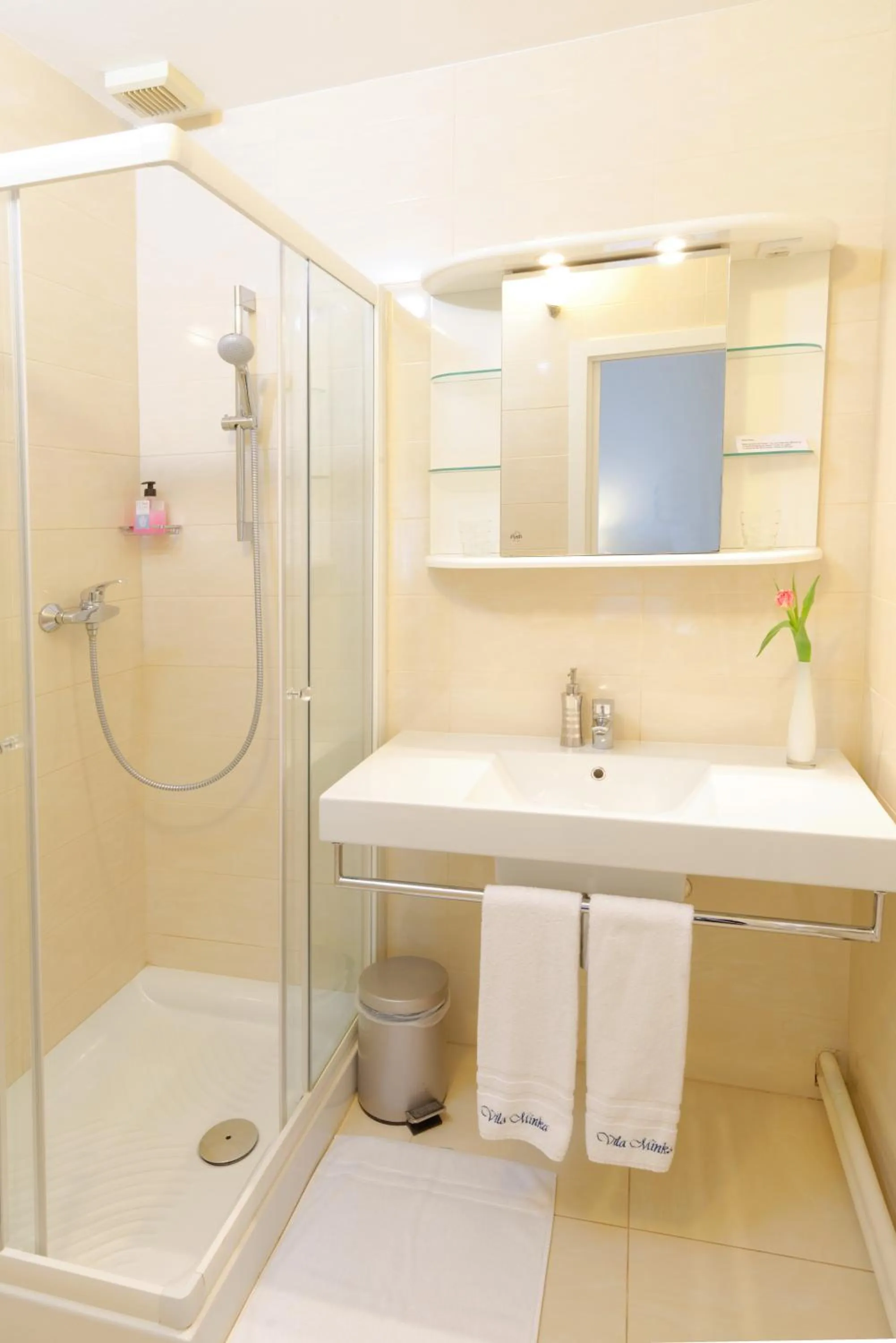 Shower in ApartHotel Vila Minka