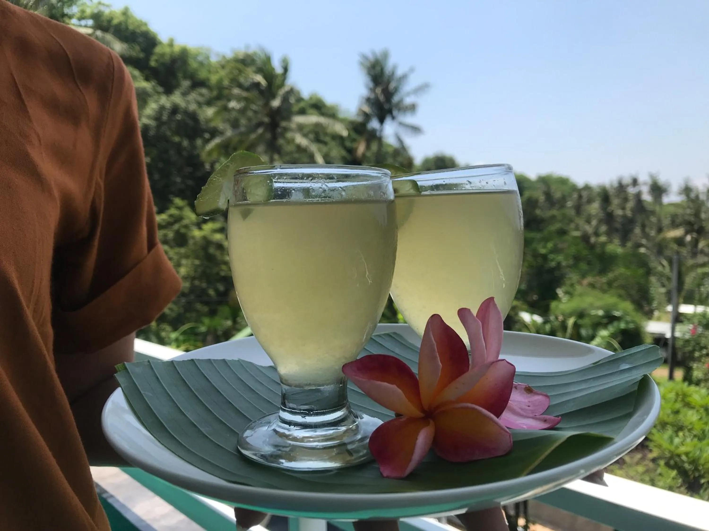 Drinks in Villa Suari I