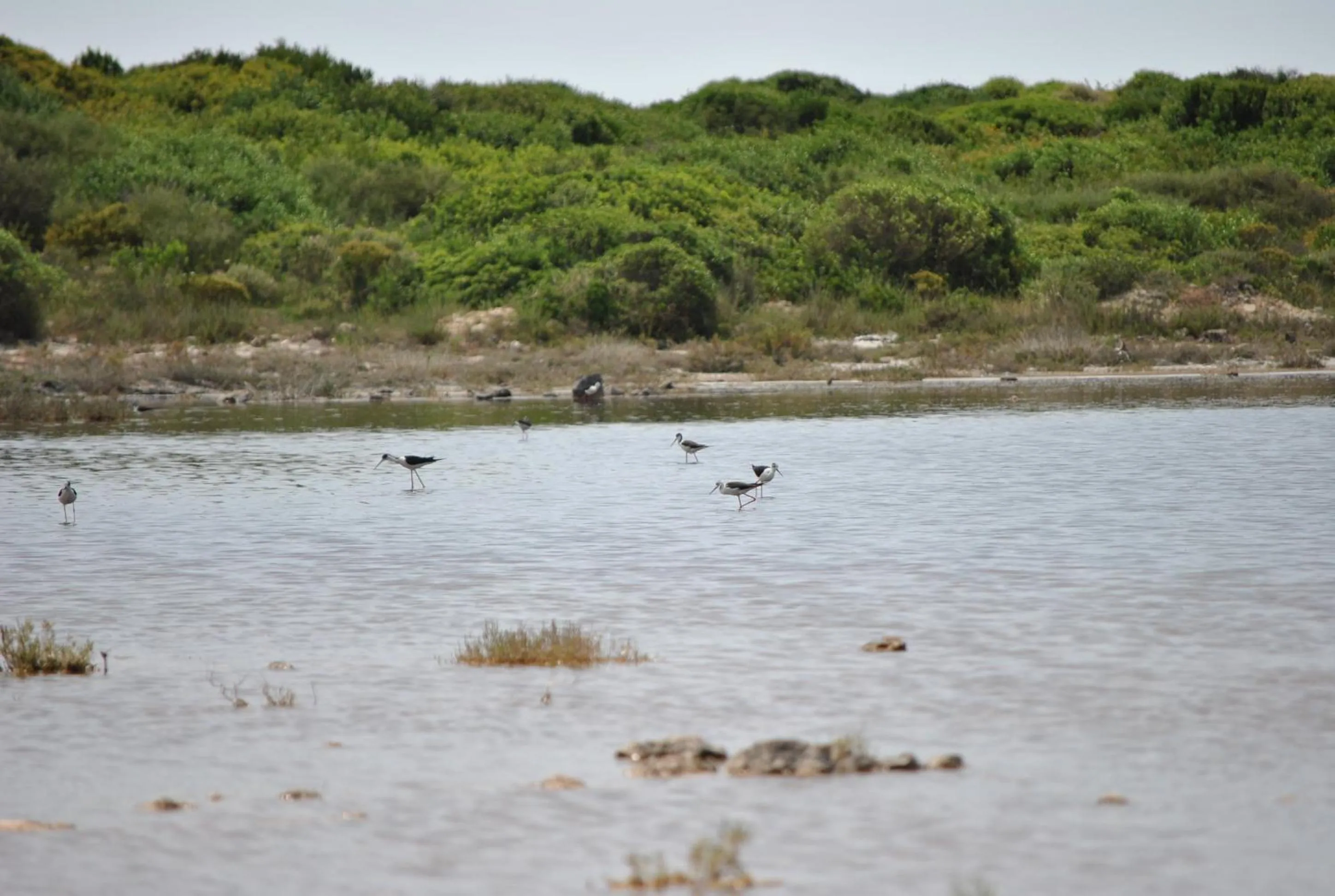 Natural landscape in Il melograno b&b