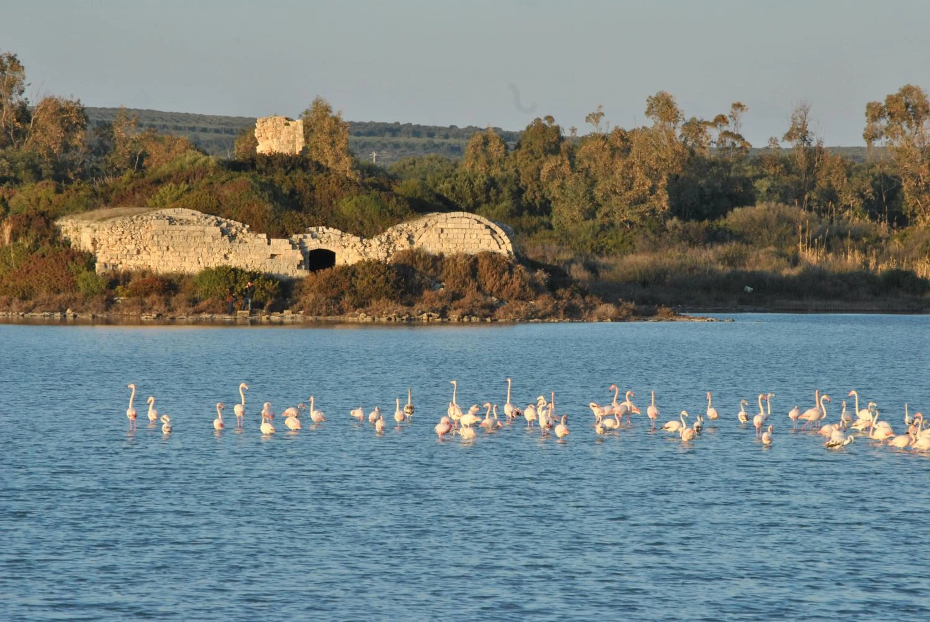 Natural landscape in Il melograno b&b