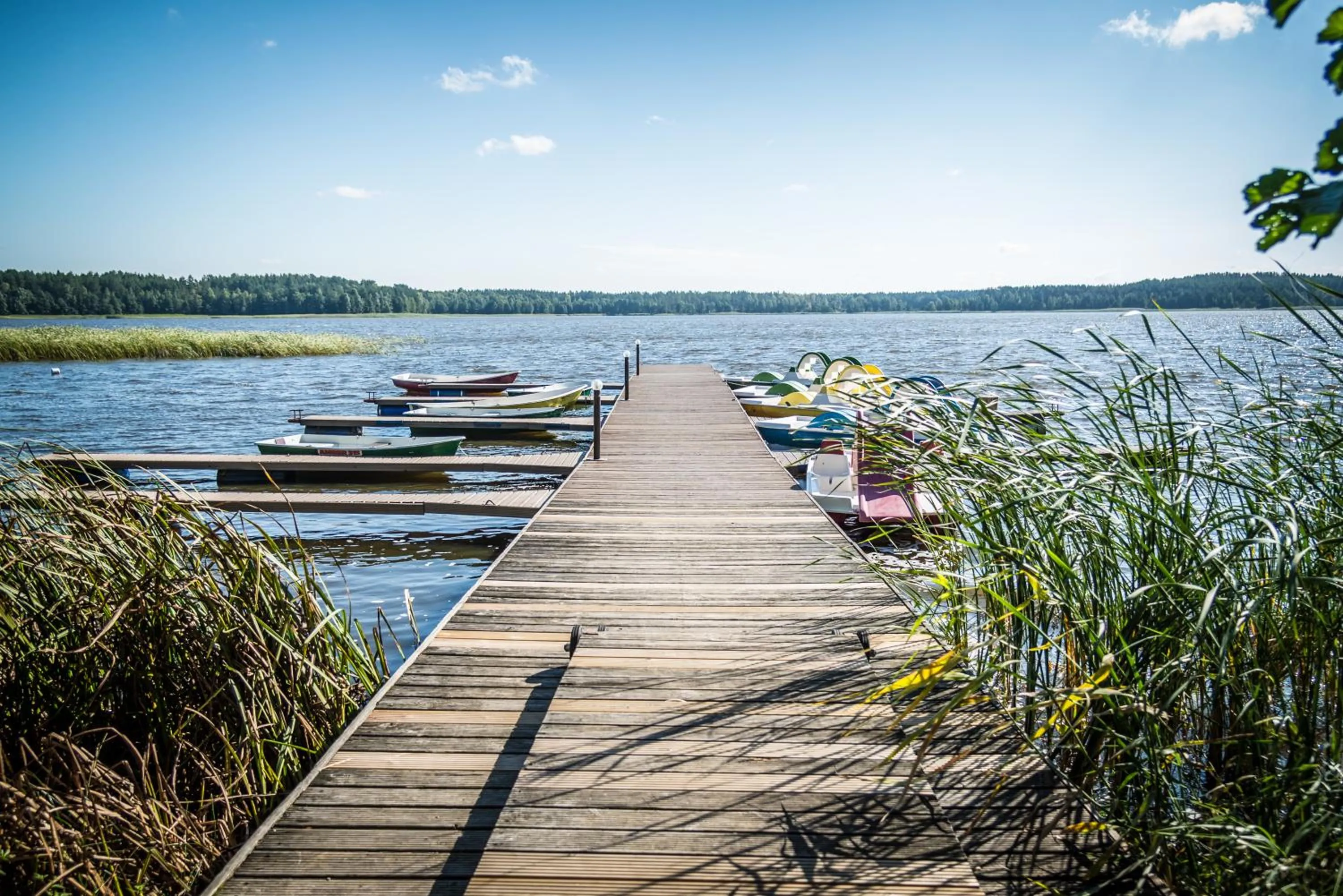 Fishing in Porto Resort