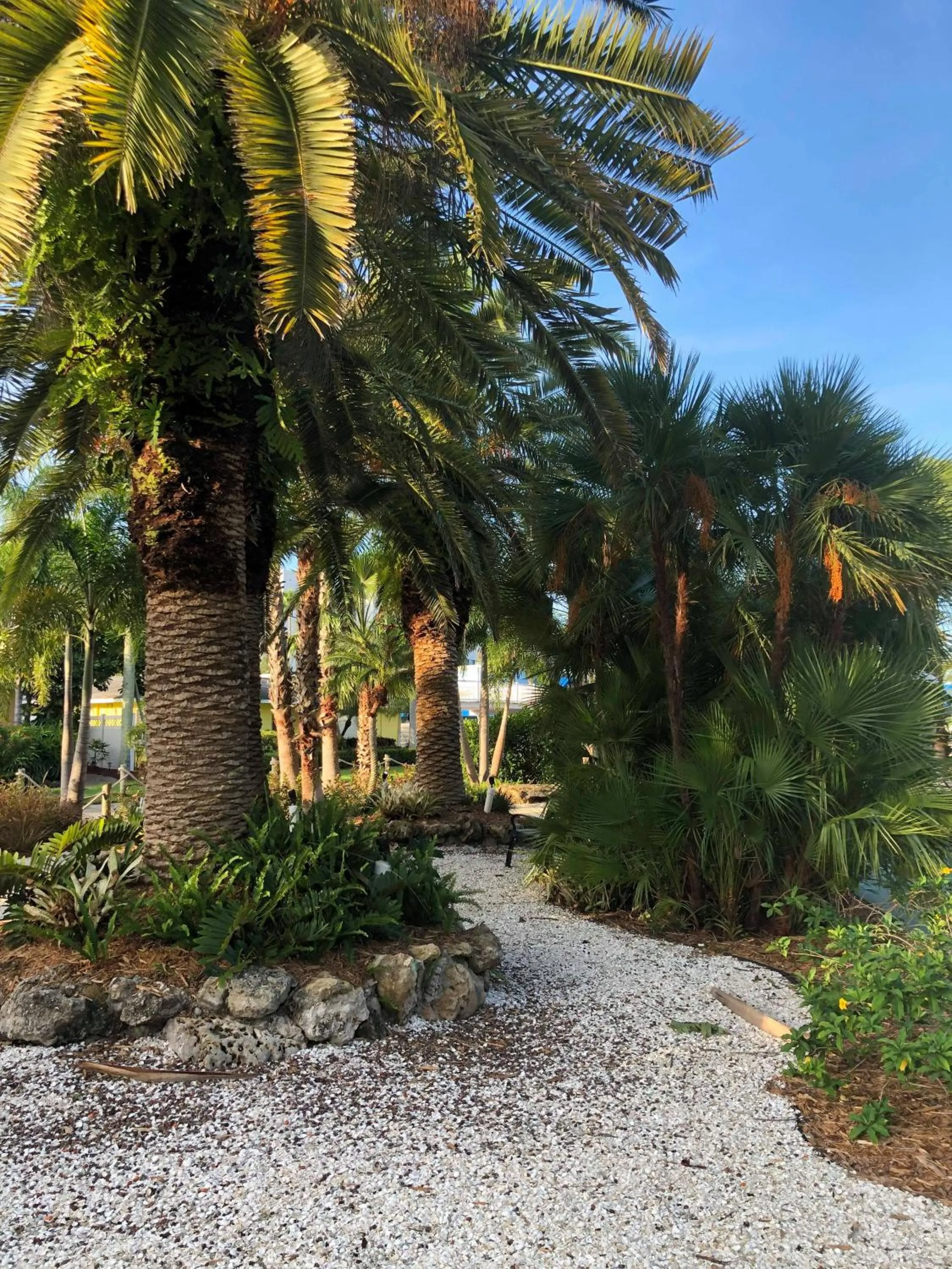 Captiva Beach Resort (open private beach access)