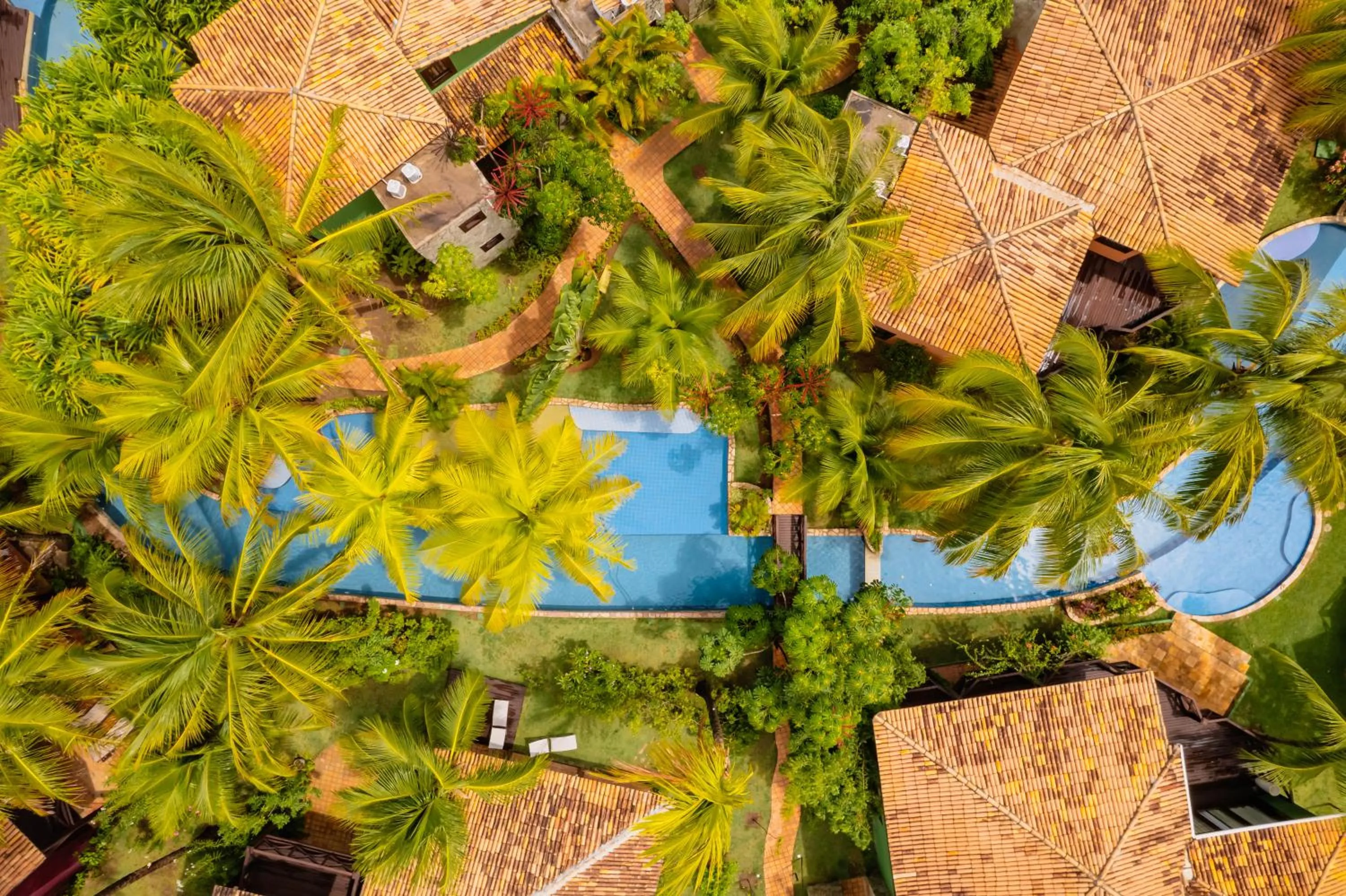Swimming pool in Domus Villas