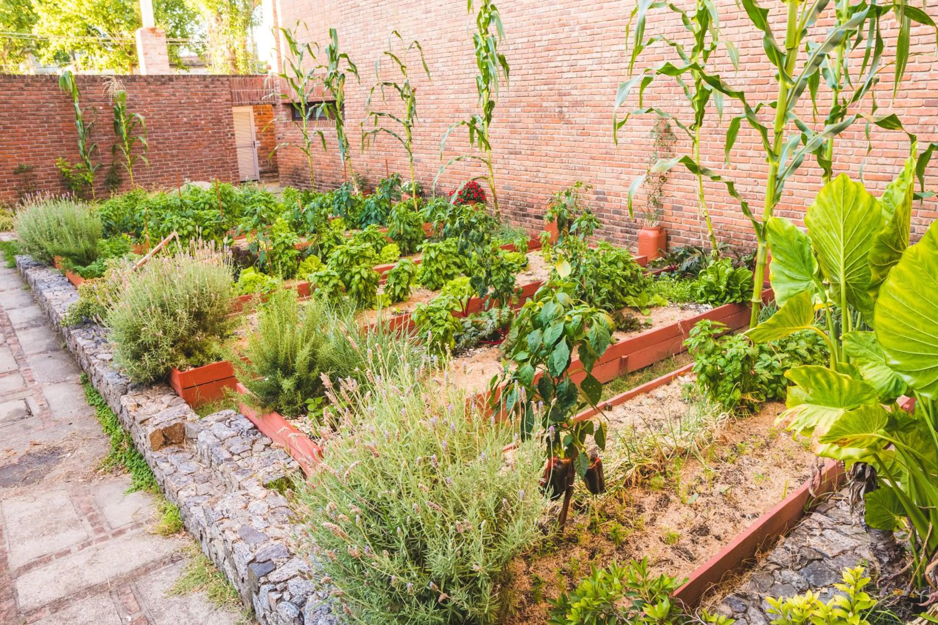 Activities in El Mirador Hotel & Spa