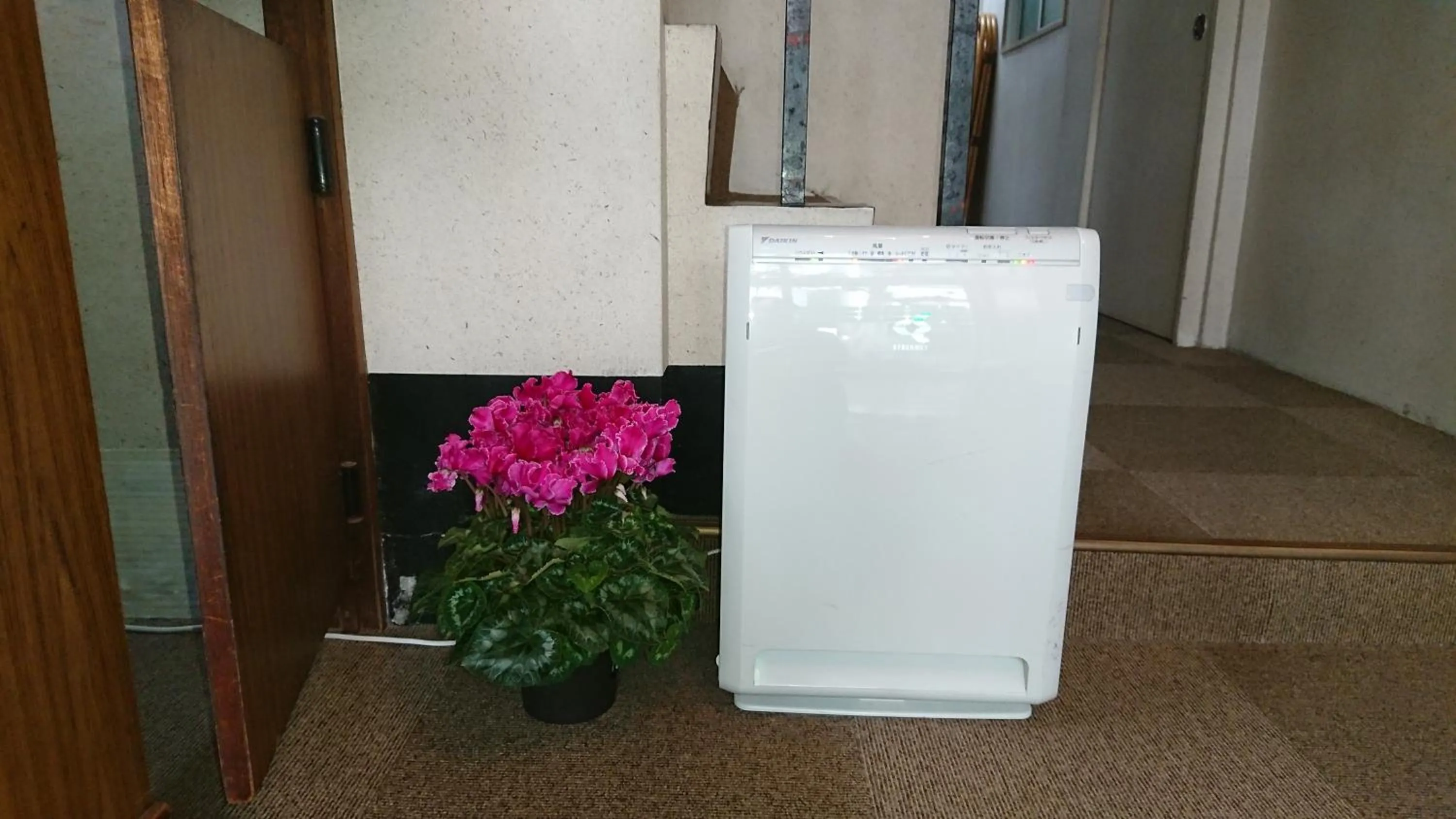 Lobby or reception in Kasuga Ryokan