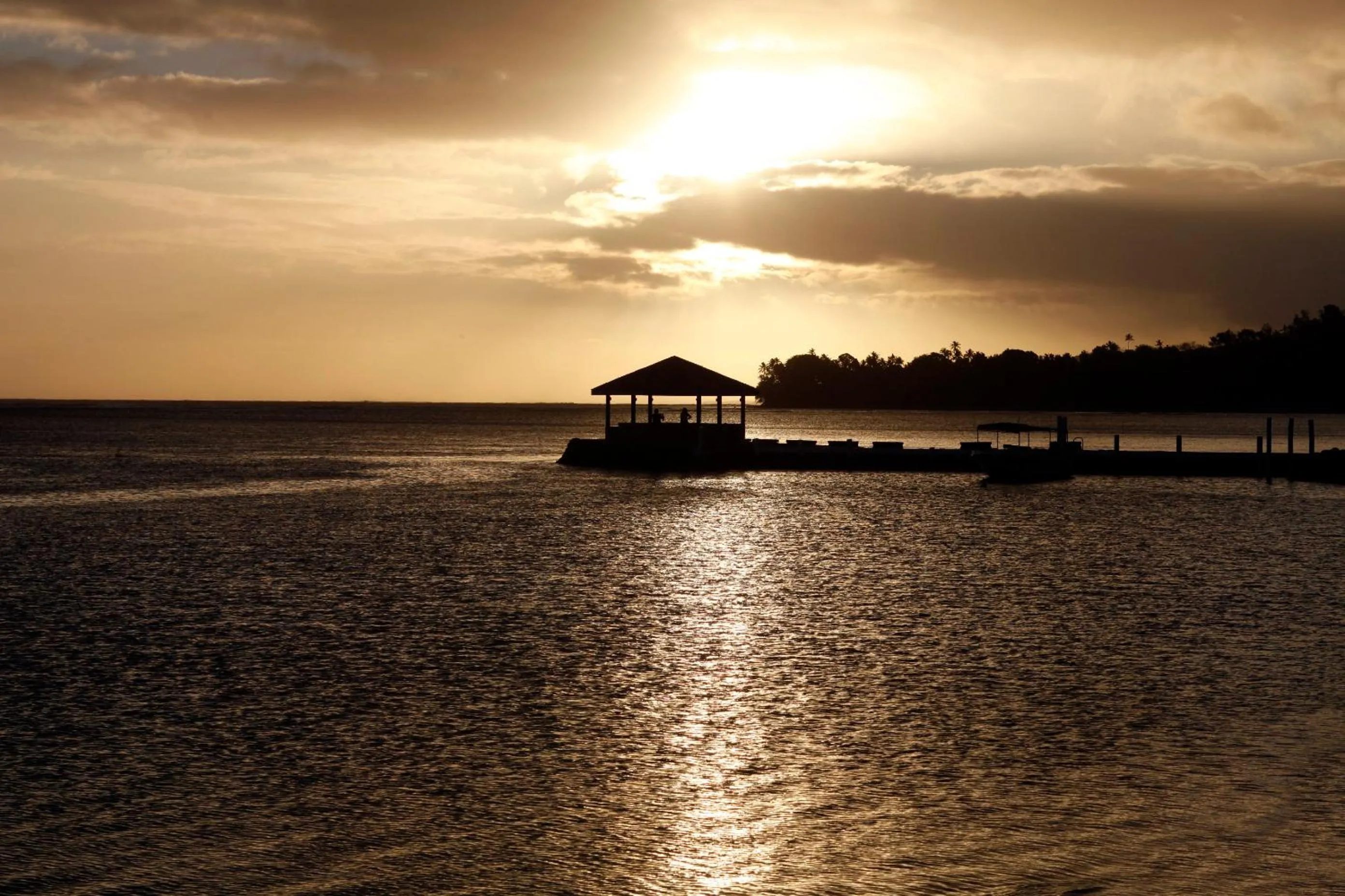 View (from property/room) in The Warwick Fiji