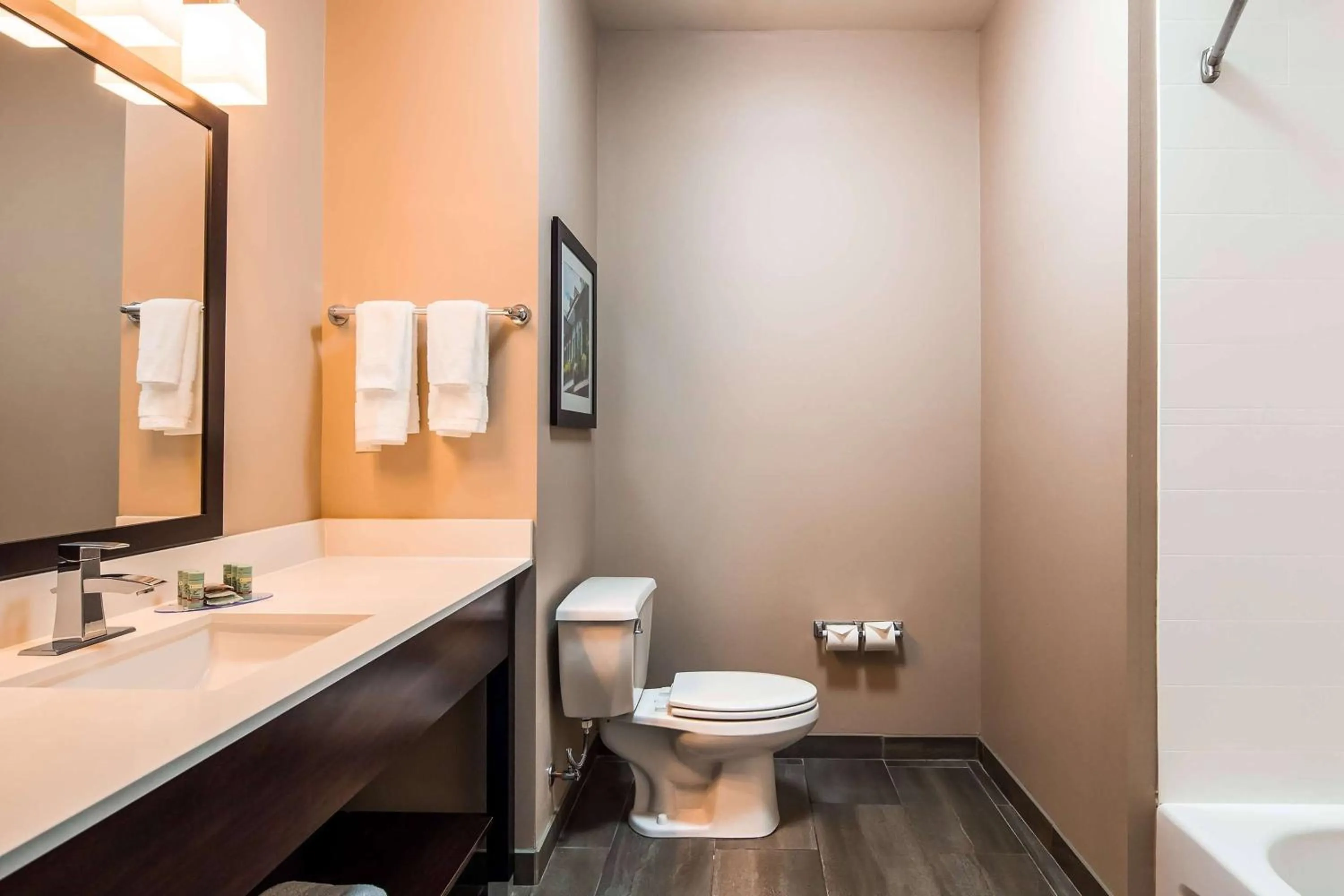 Bathroom in Wyndham Garden New Roads - False River