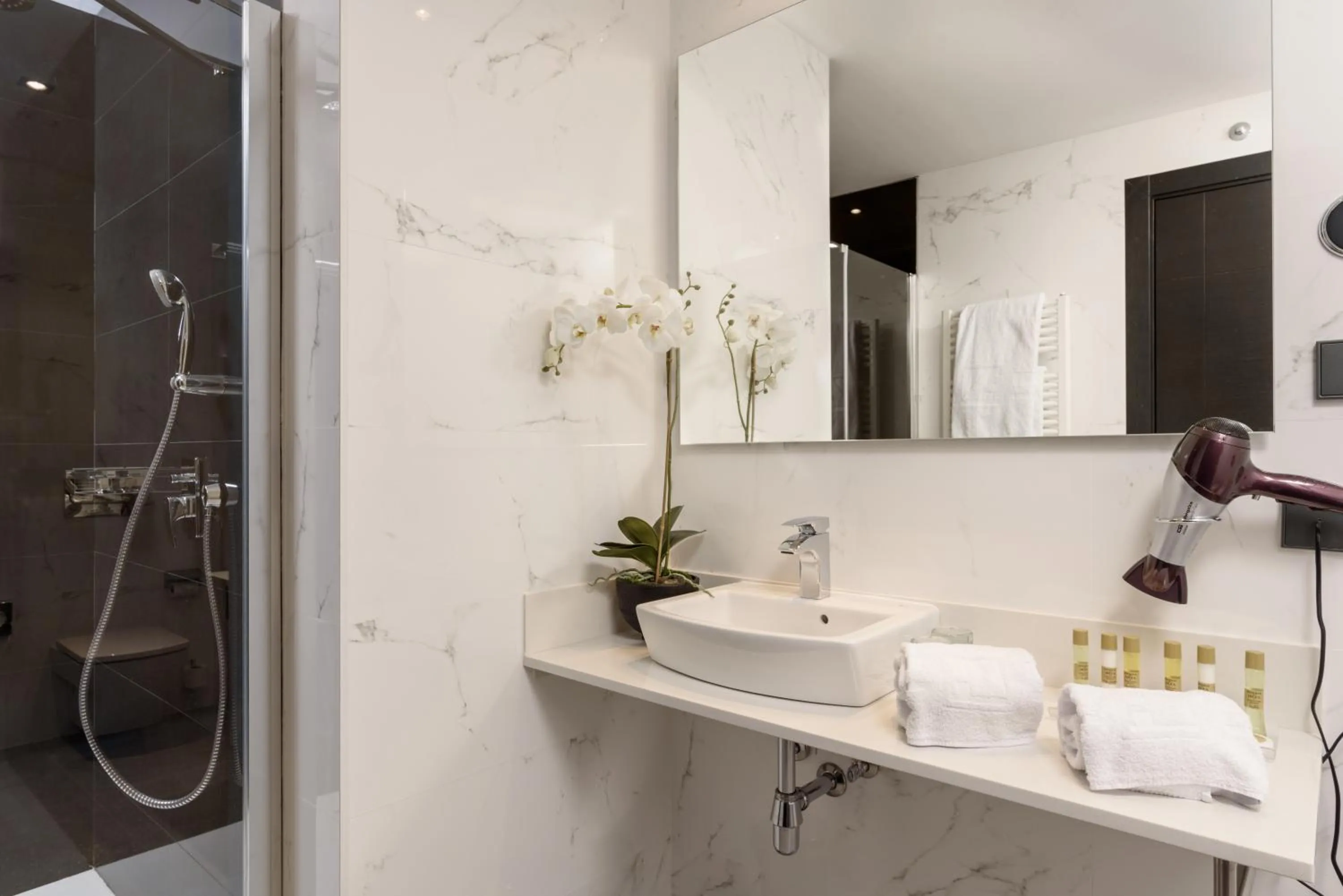 Shower in Eurostars Fuerte Ruavieja