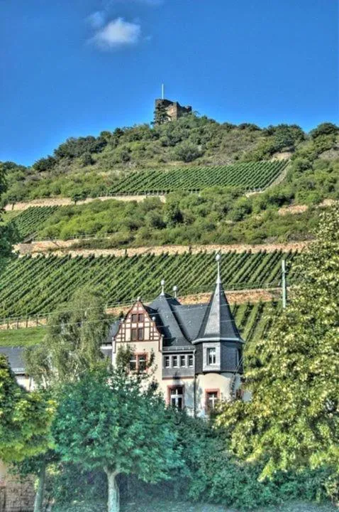 Property building in Wohnen im Burghotel