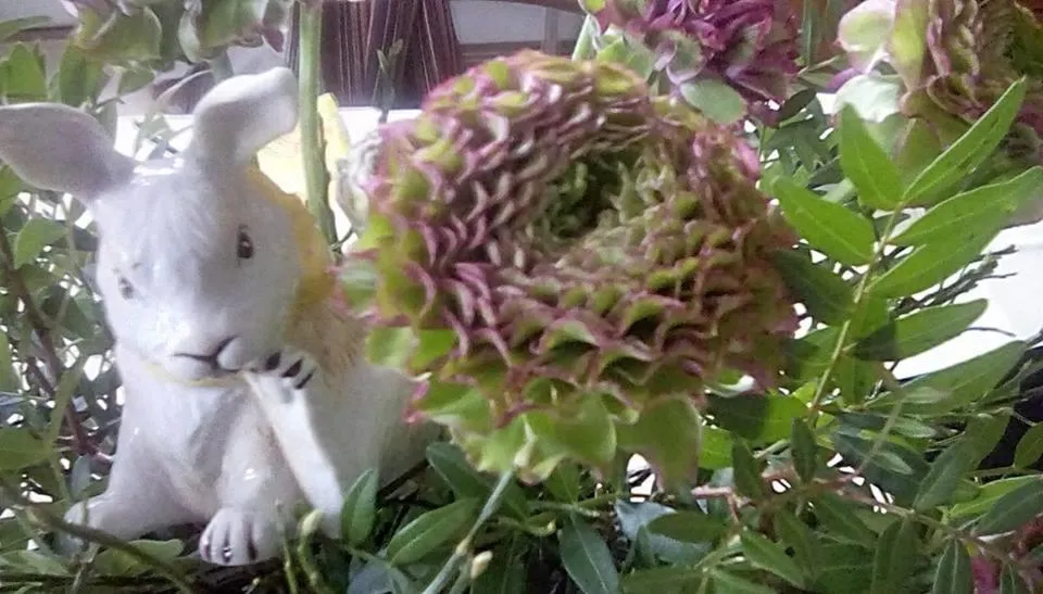 Decorative detail in Wohnen im Burghotel