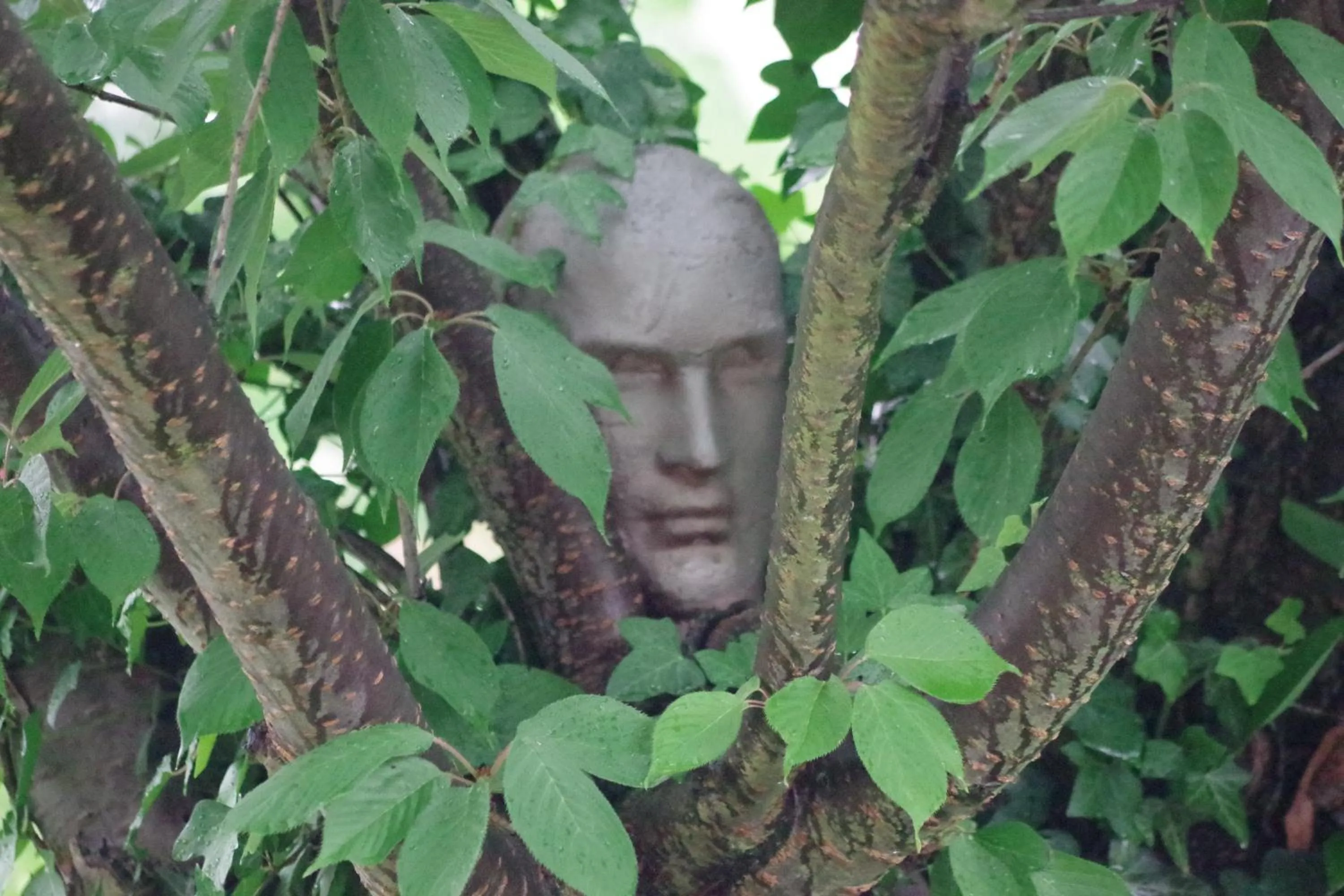 Garden in Wohnen im Burghotel