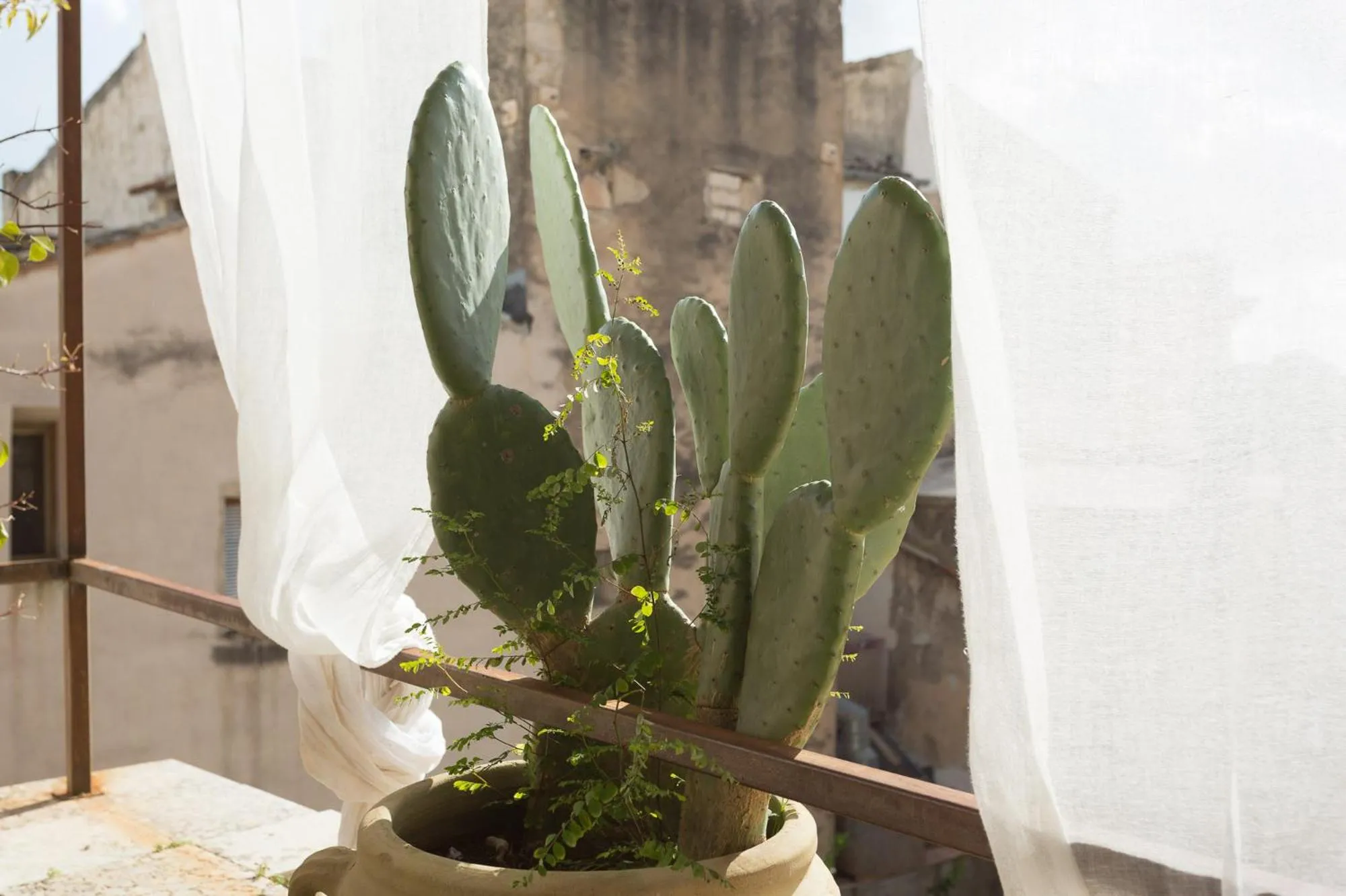 Decorative detail in San Carlo Suites