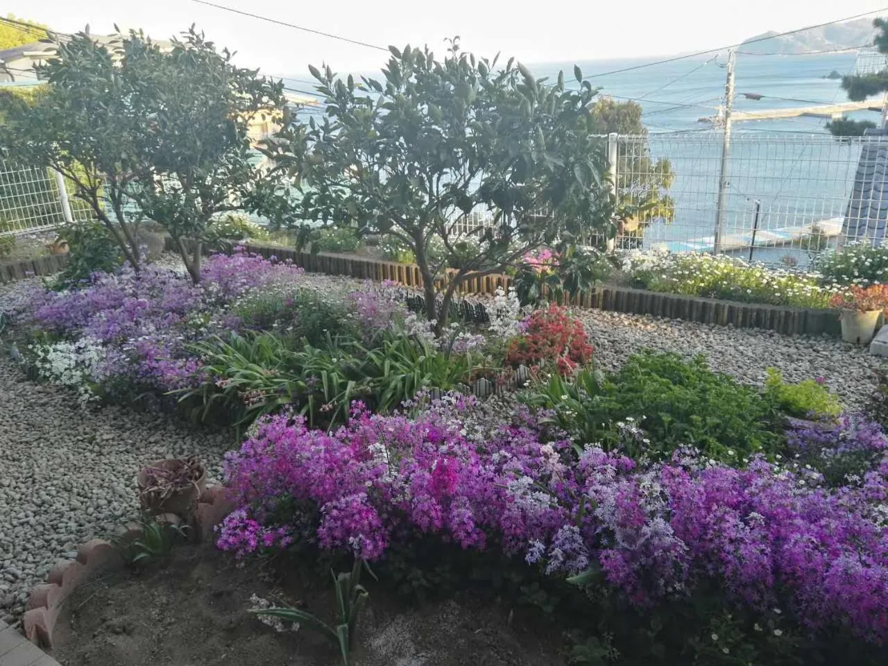 Garden in Atami Onsen Guest House Megumi 5 minutes walk from Atami Station