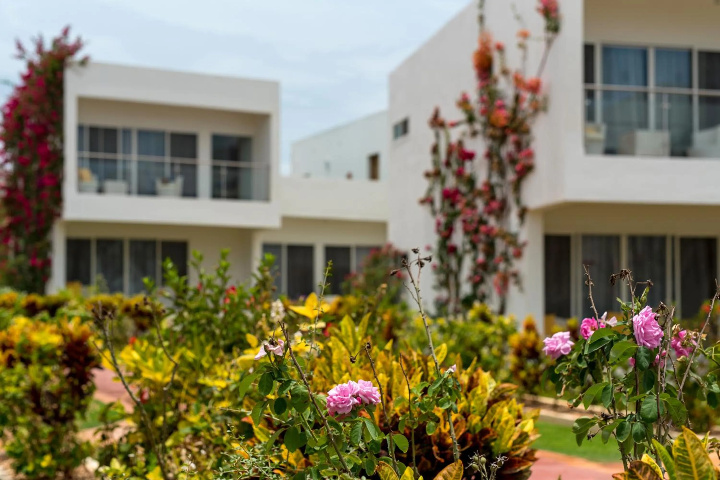 Property building in Nungwi Dreams by Mantis