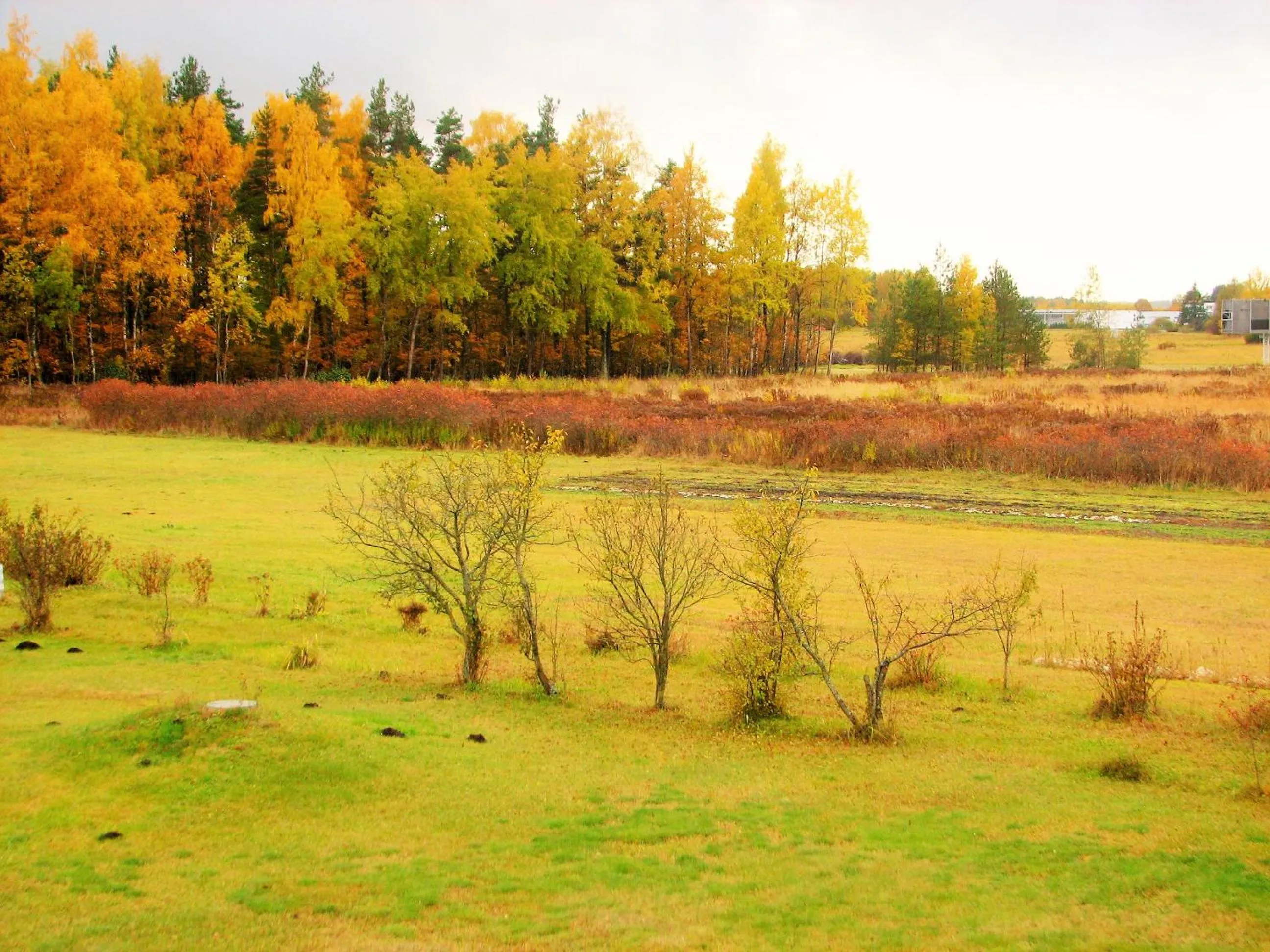 Garden view in Airport Hotel Mara