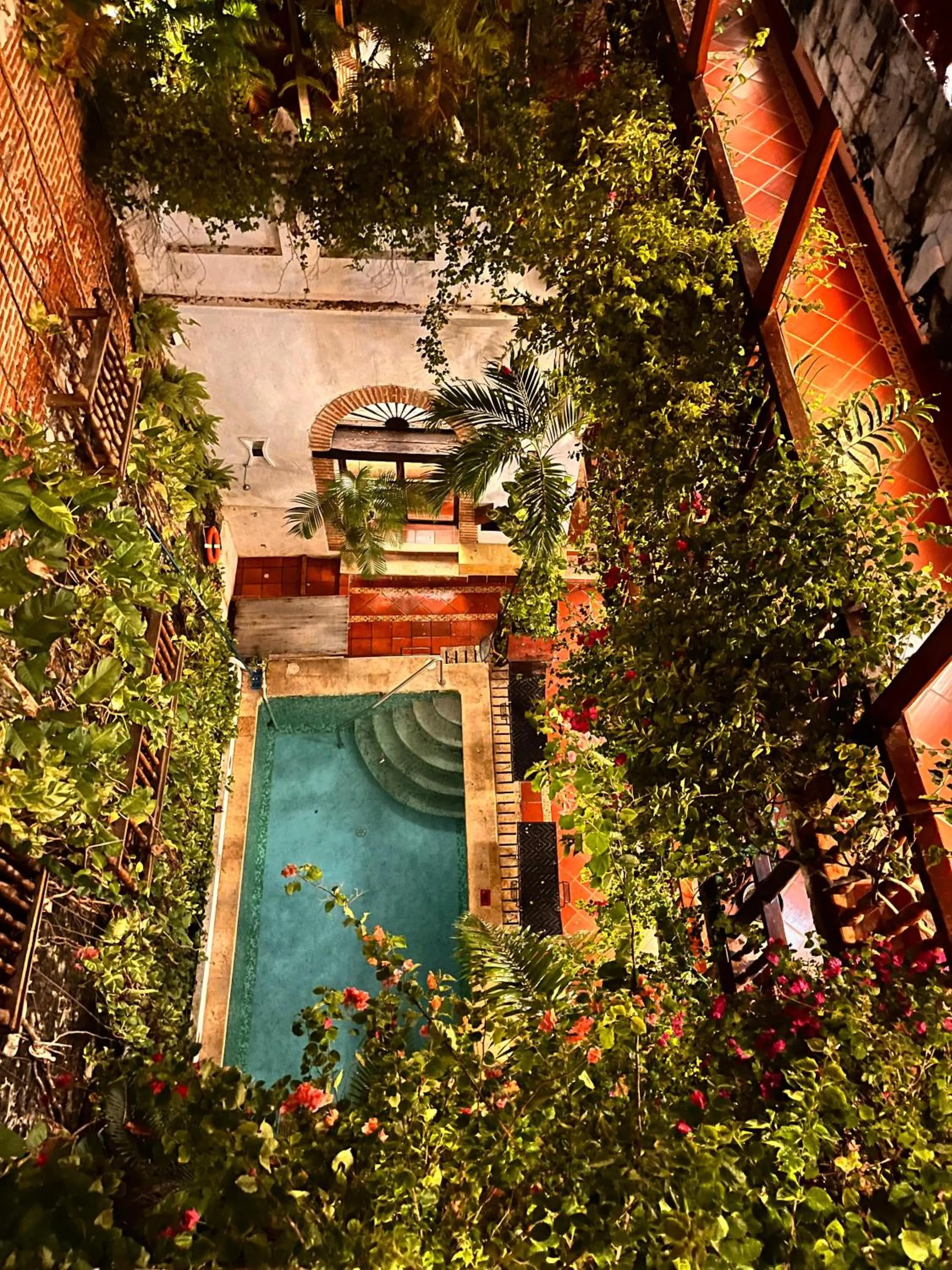 Pool view in Hotel Don Pedro De Heredia