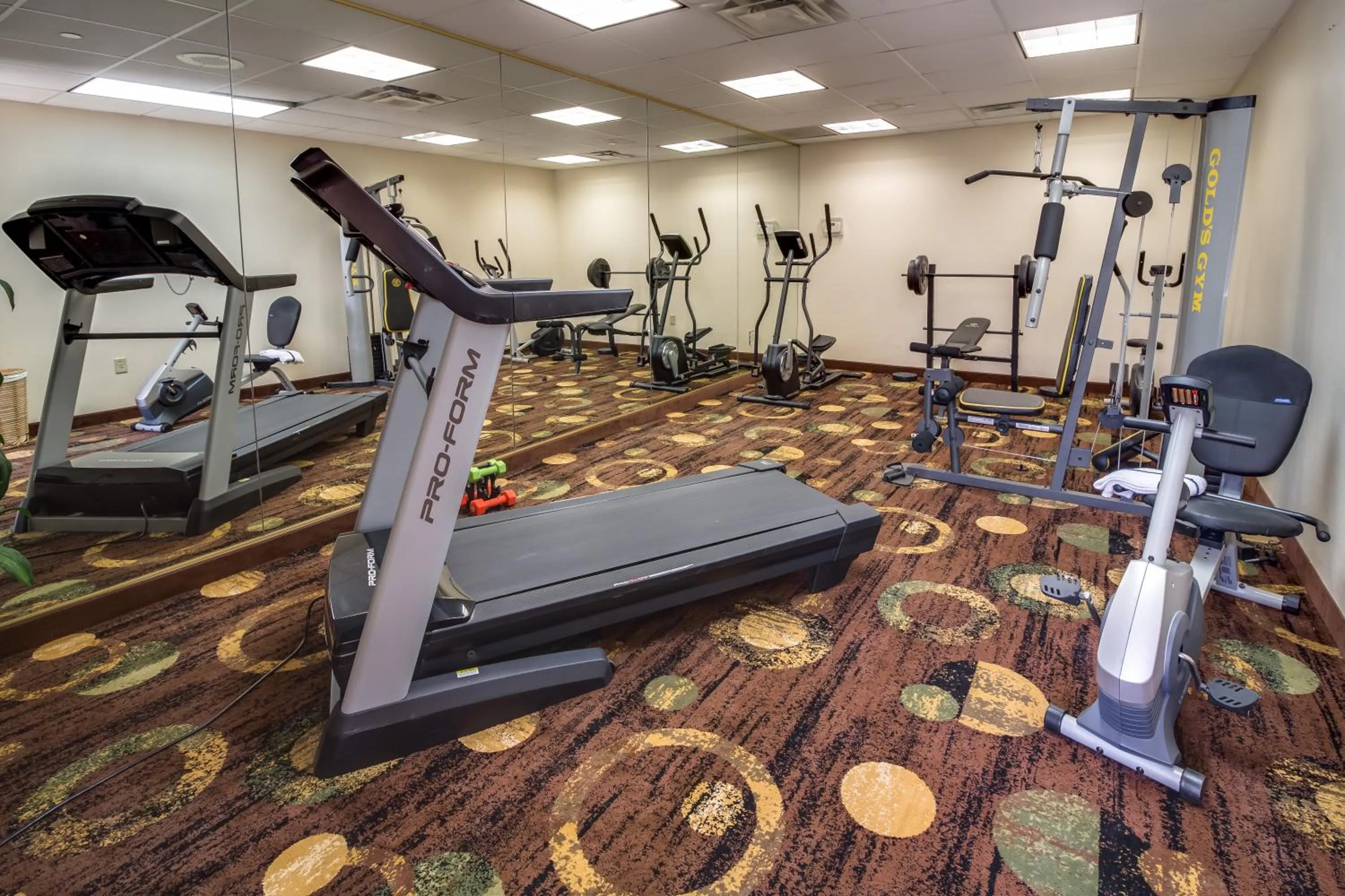 Fitness centre/facilities in Ashmore Inn and Suites Amarillo