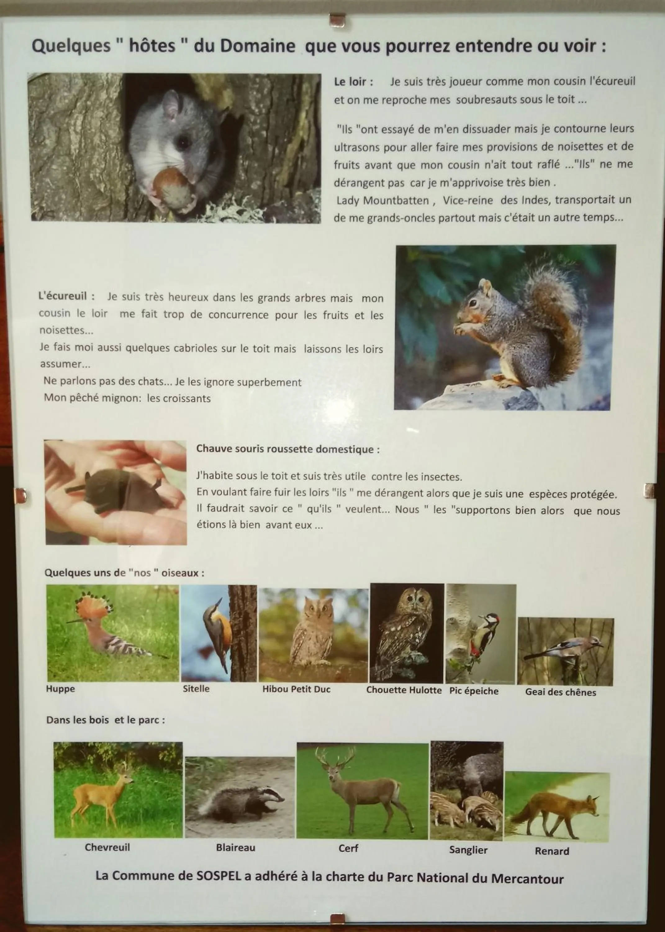 Other in Domaine du Paraïs B&B