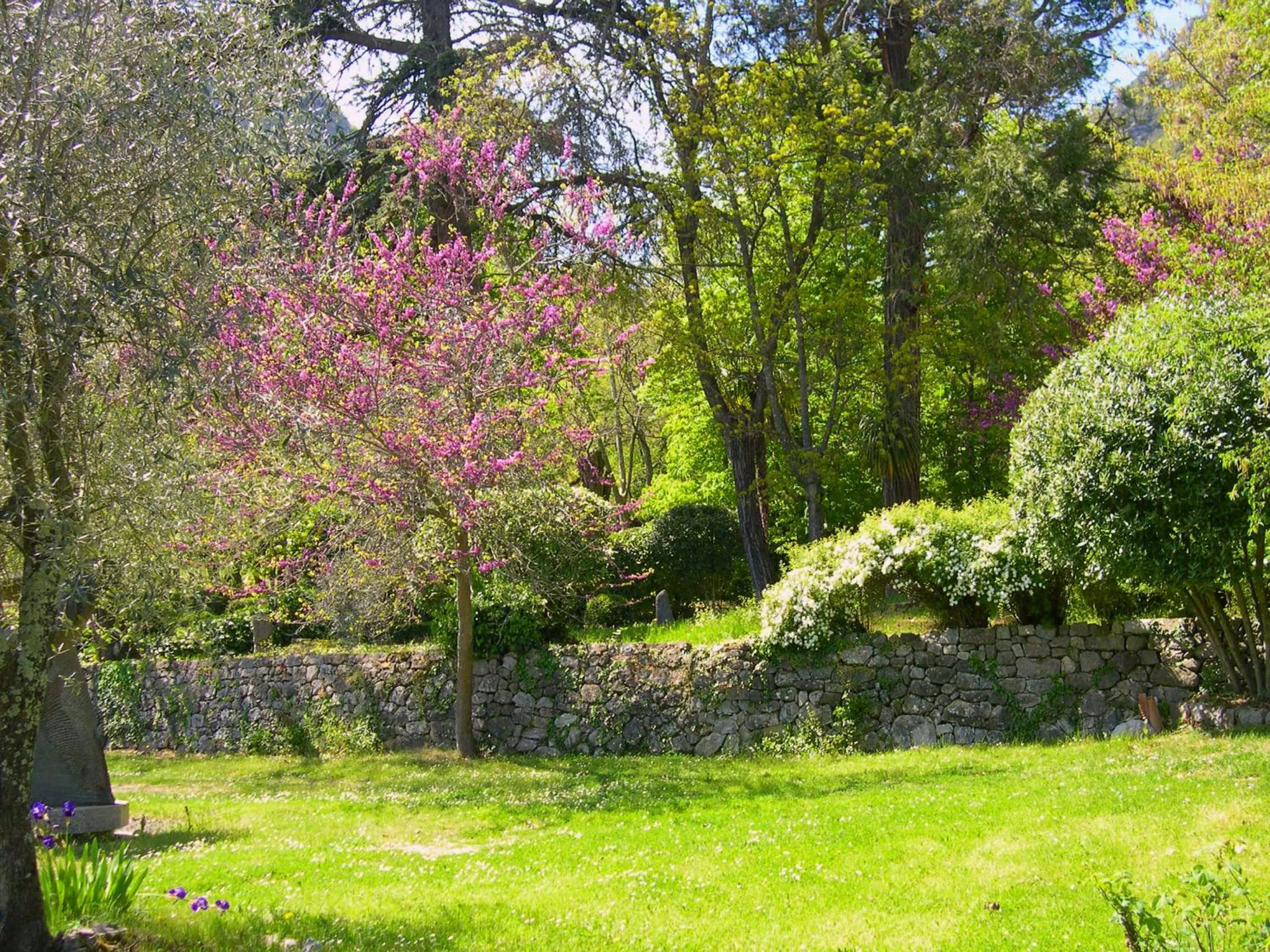 Spring in Domaine du Paraïs B&B