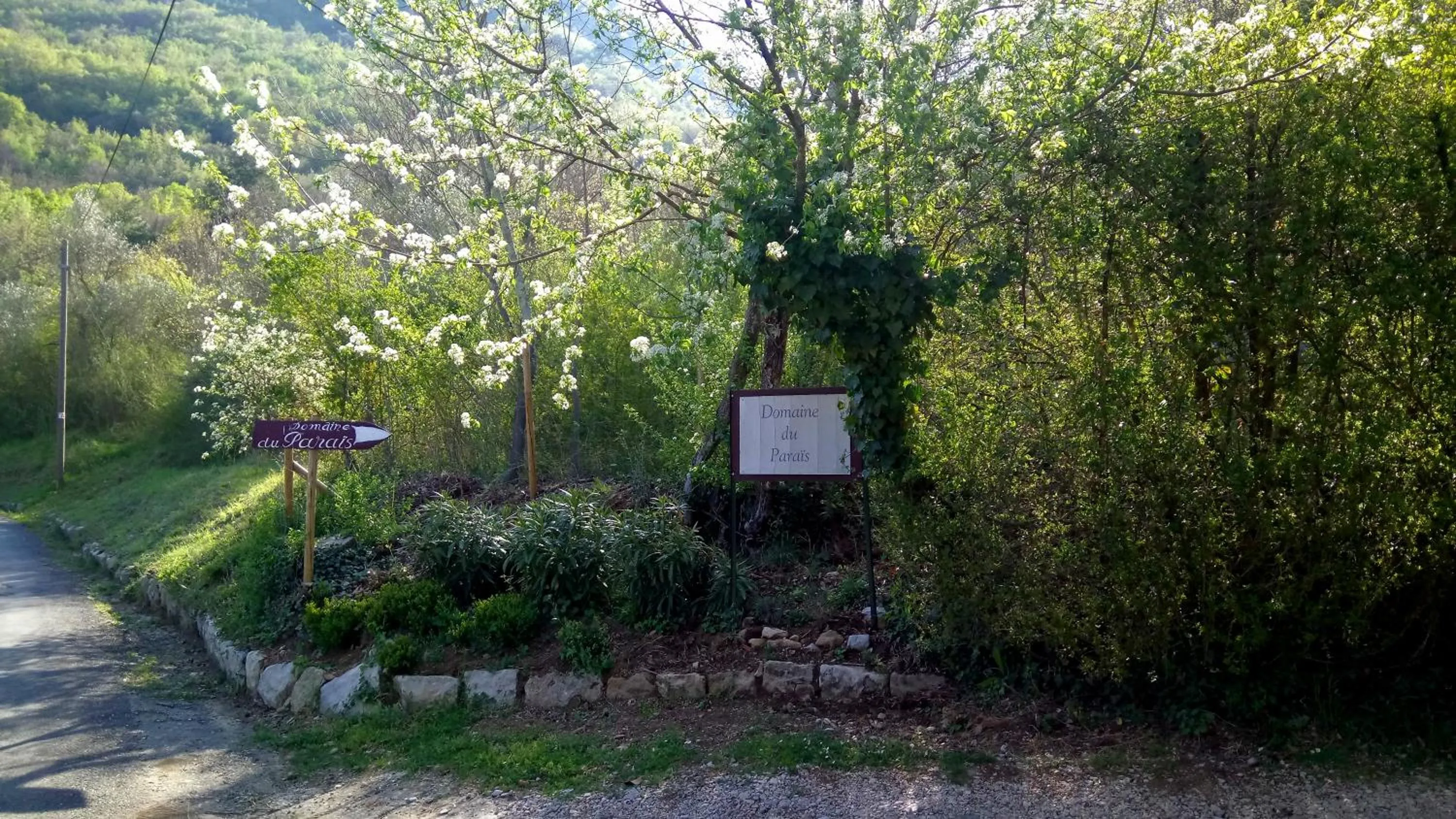 Area and facilities in Domaine du Paraïs B&B